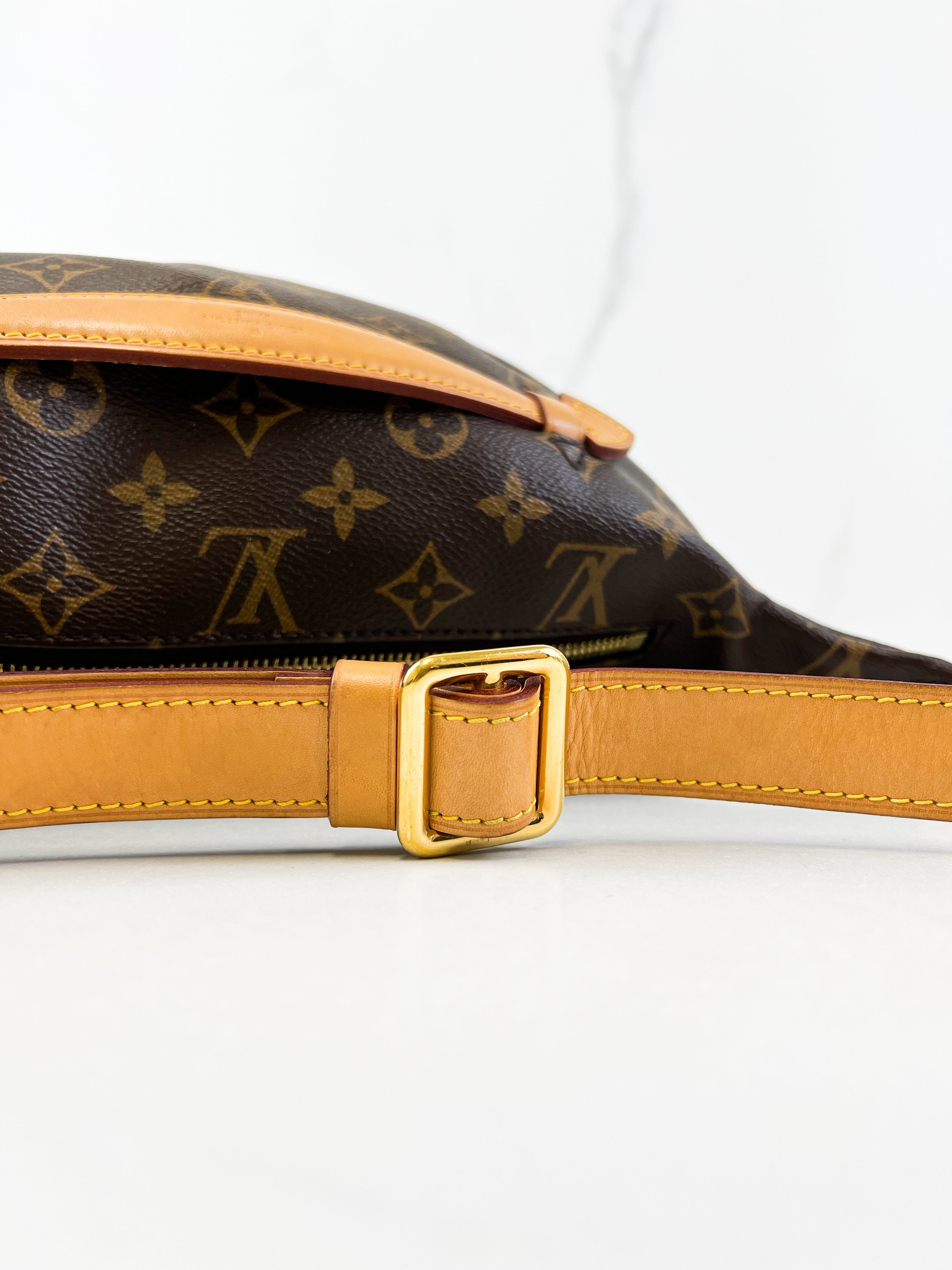 Louis Vuitton Monogram Canvas Bumbag