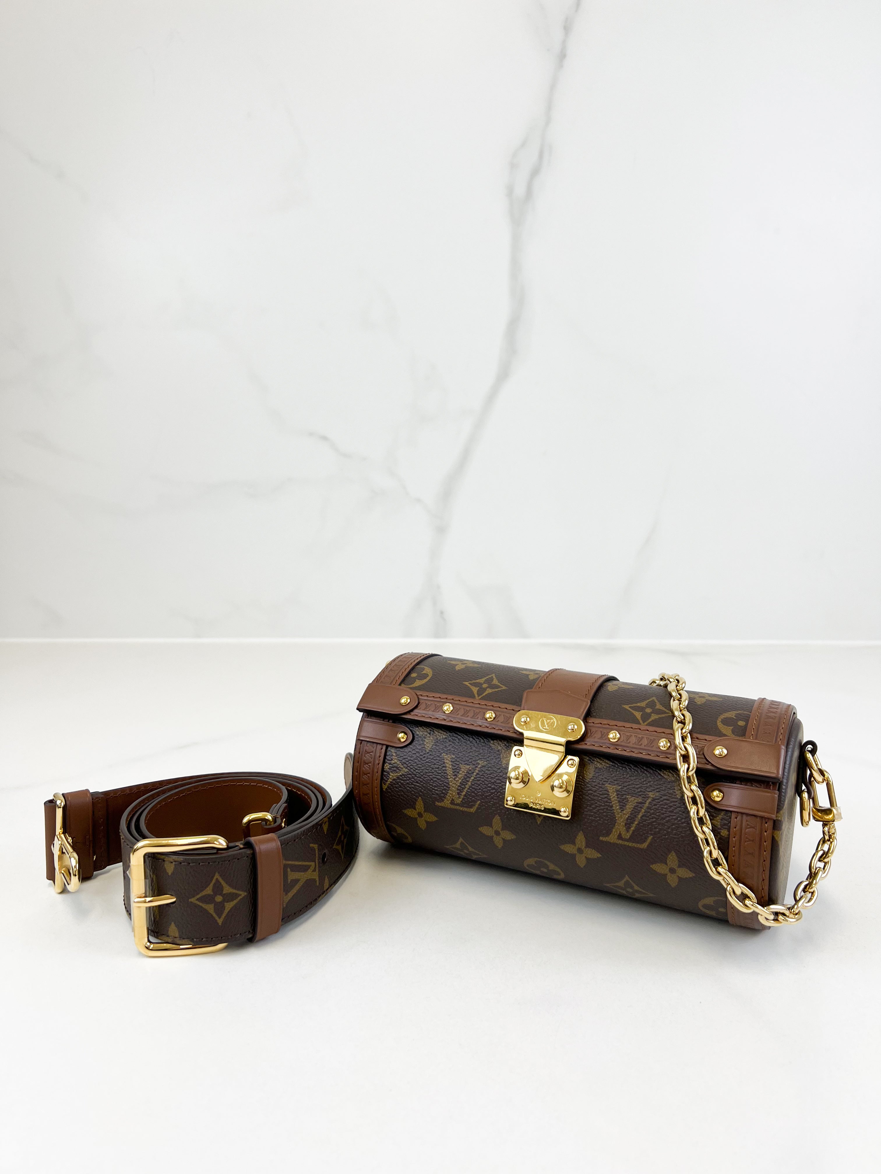 Louis Vuitton Papillon Trunk
