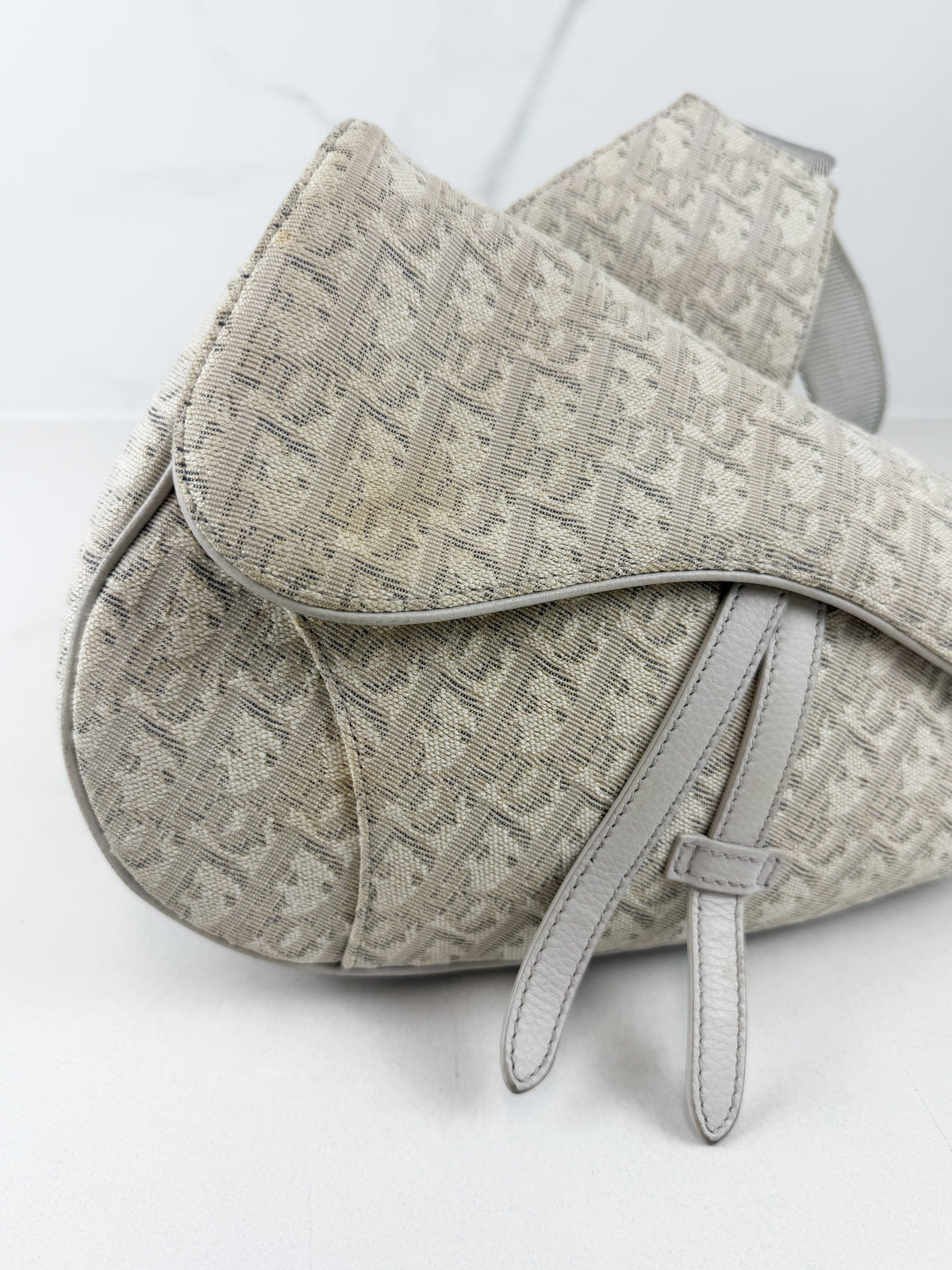Christian Dior Unisex Saddle Bag in Oblique Canvas Latte & Gray