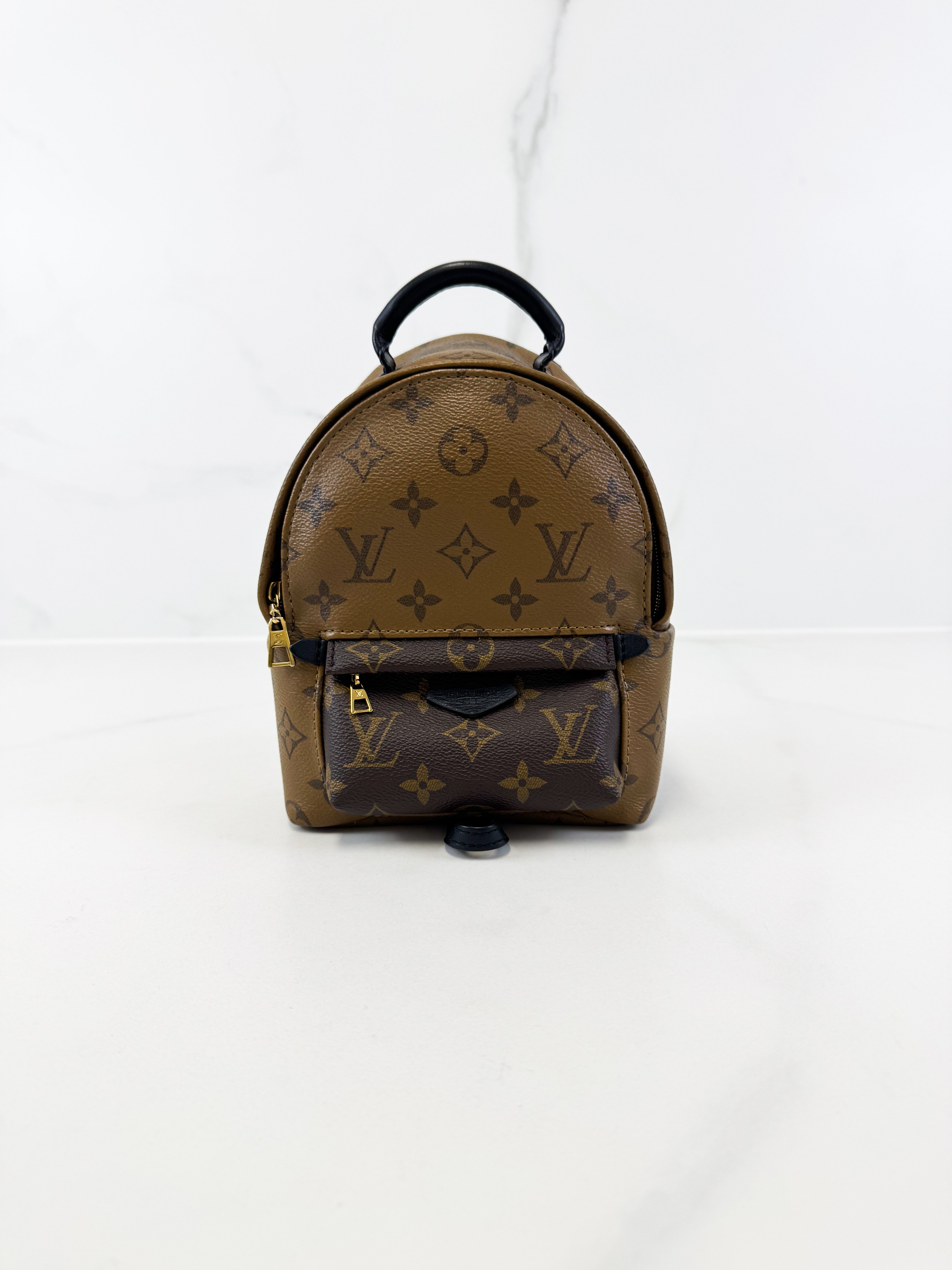 Louis Vuitton Reverse Palm Springs Mini Backpack