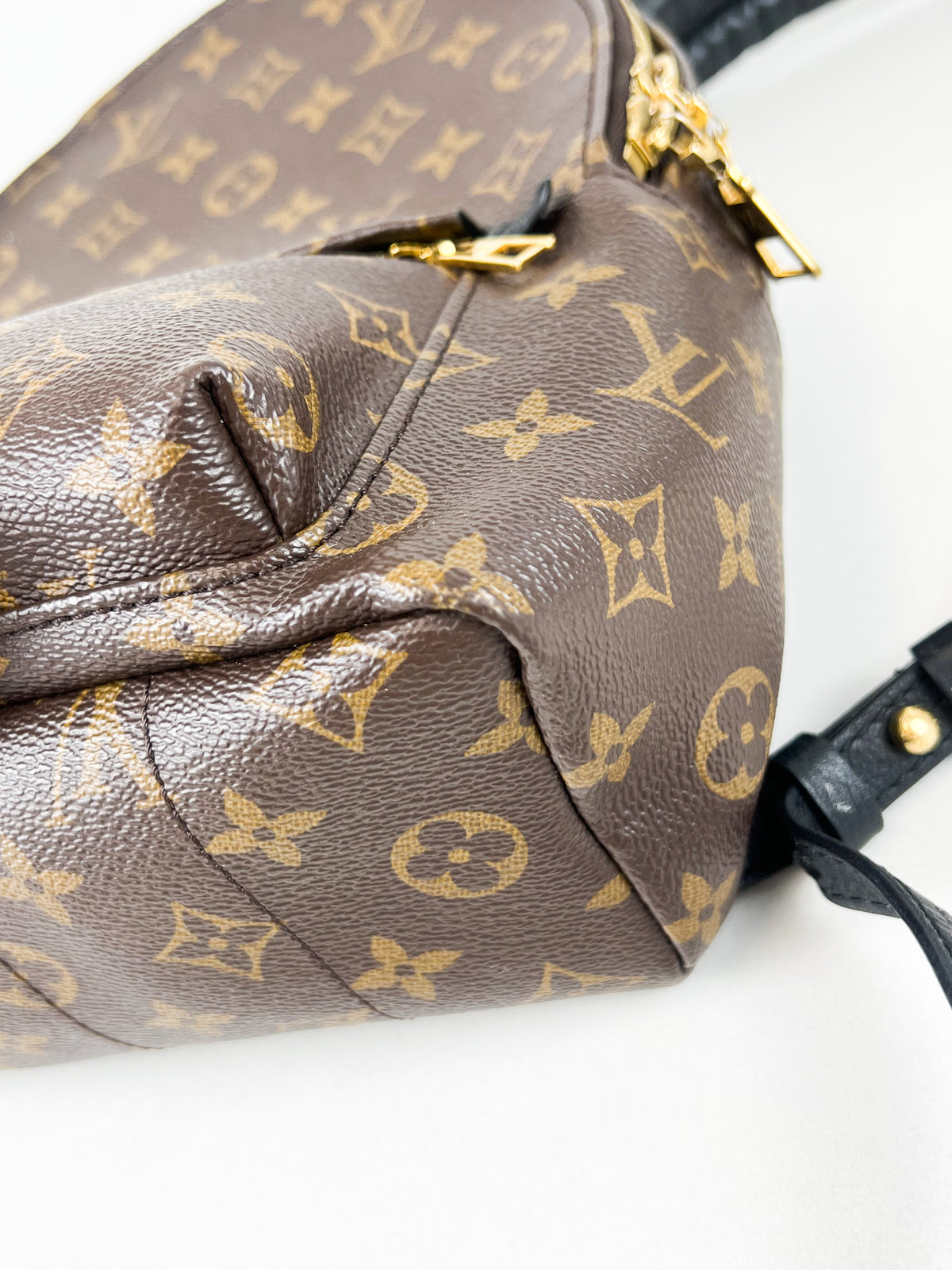 Louis Vuitton Palm Springs PM Monogram