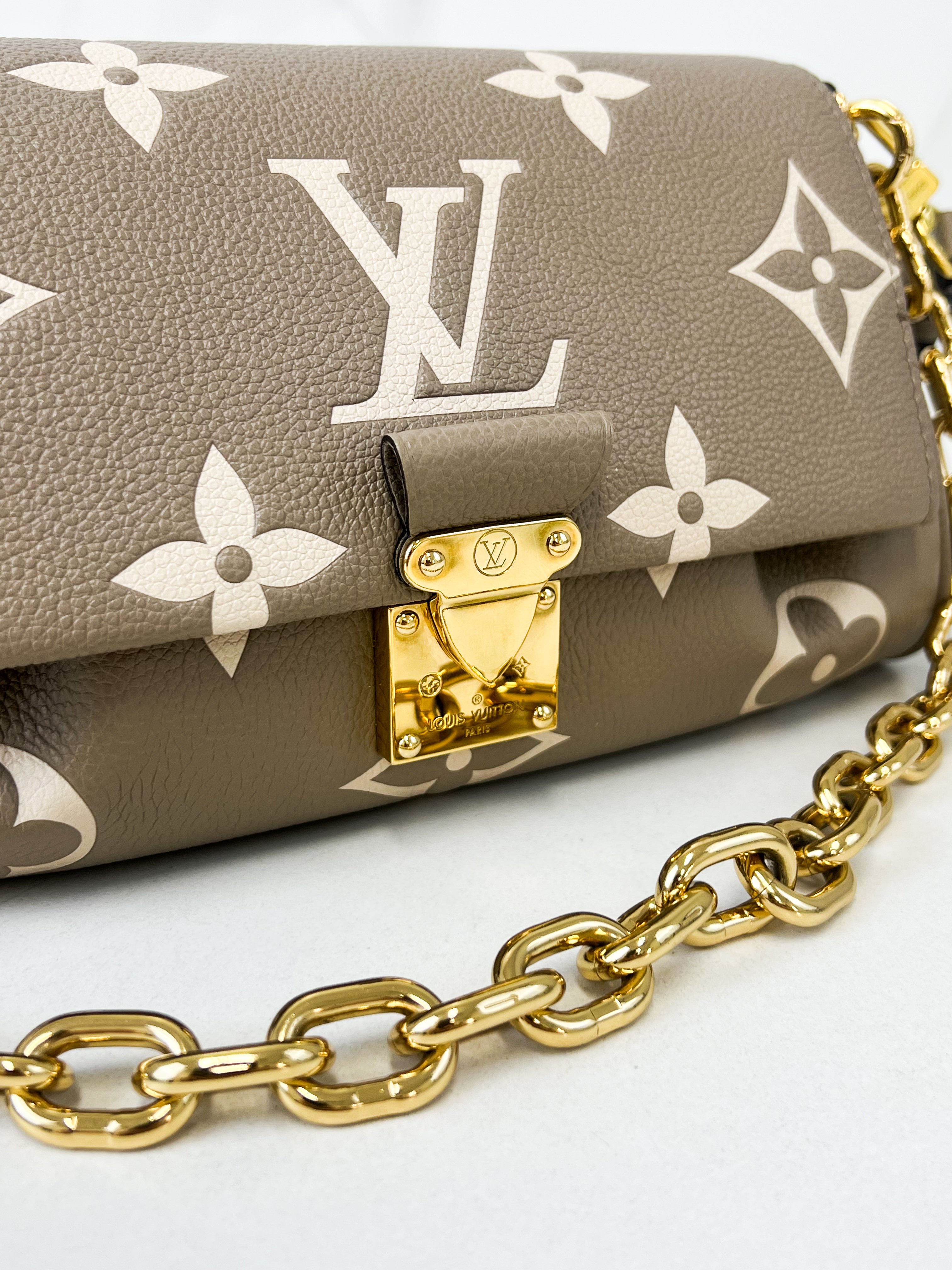 Louis Vuitton Favourite MM Monogram Canvas