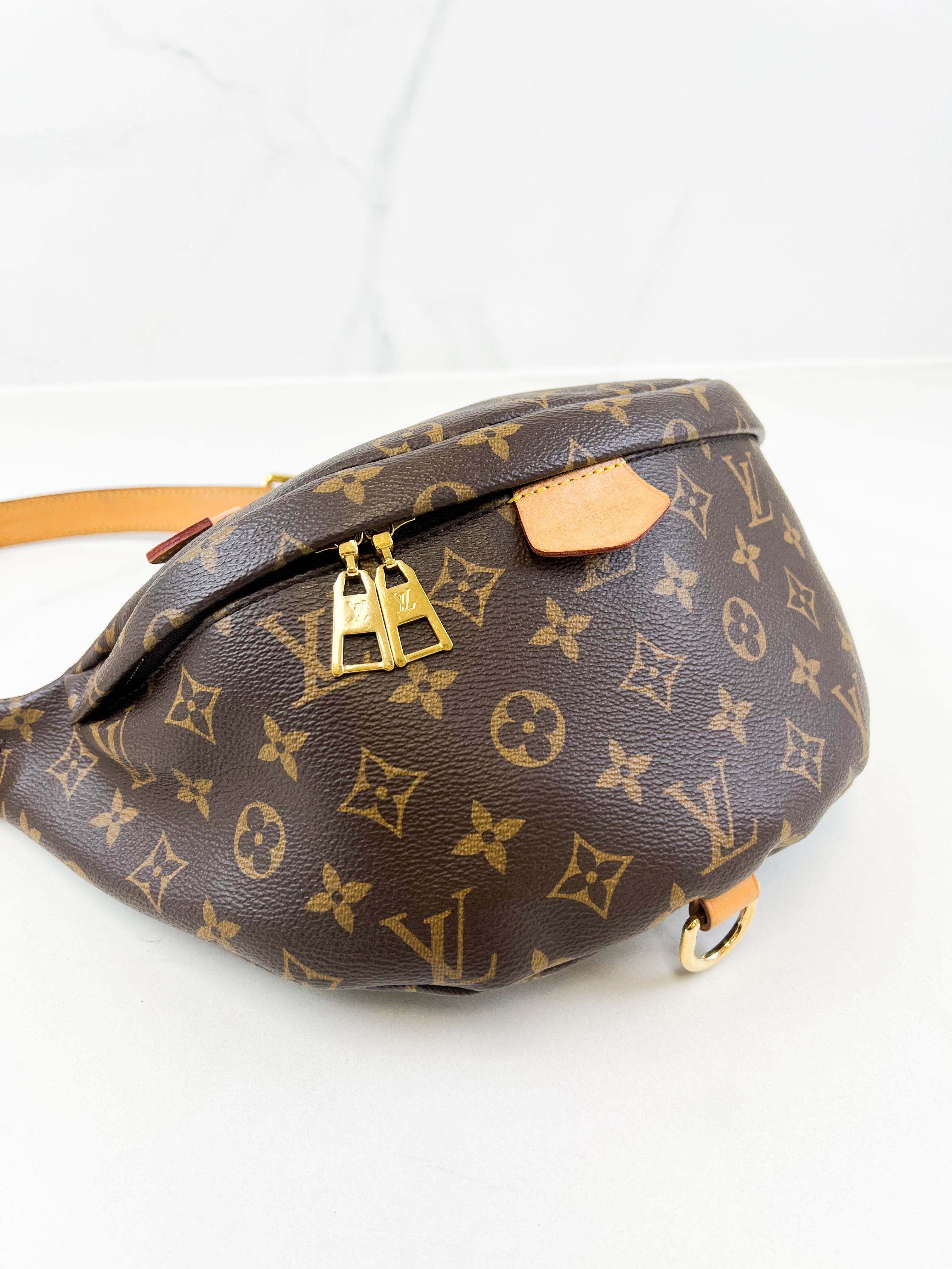 Louis Vuitton Monogram Canvas Bumbag