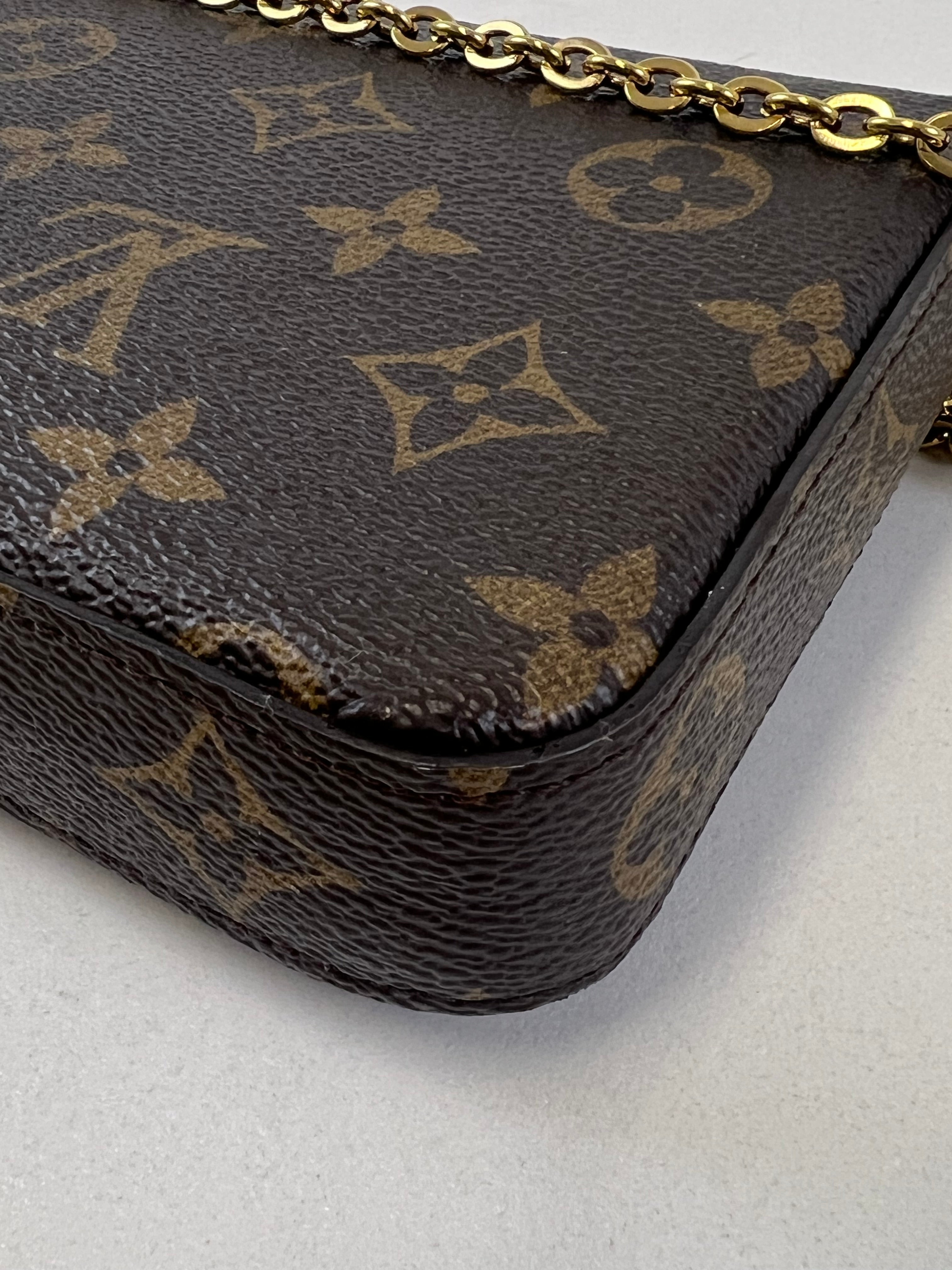 Louis Vuitton Limited Edition Felicie Pochette