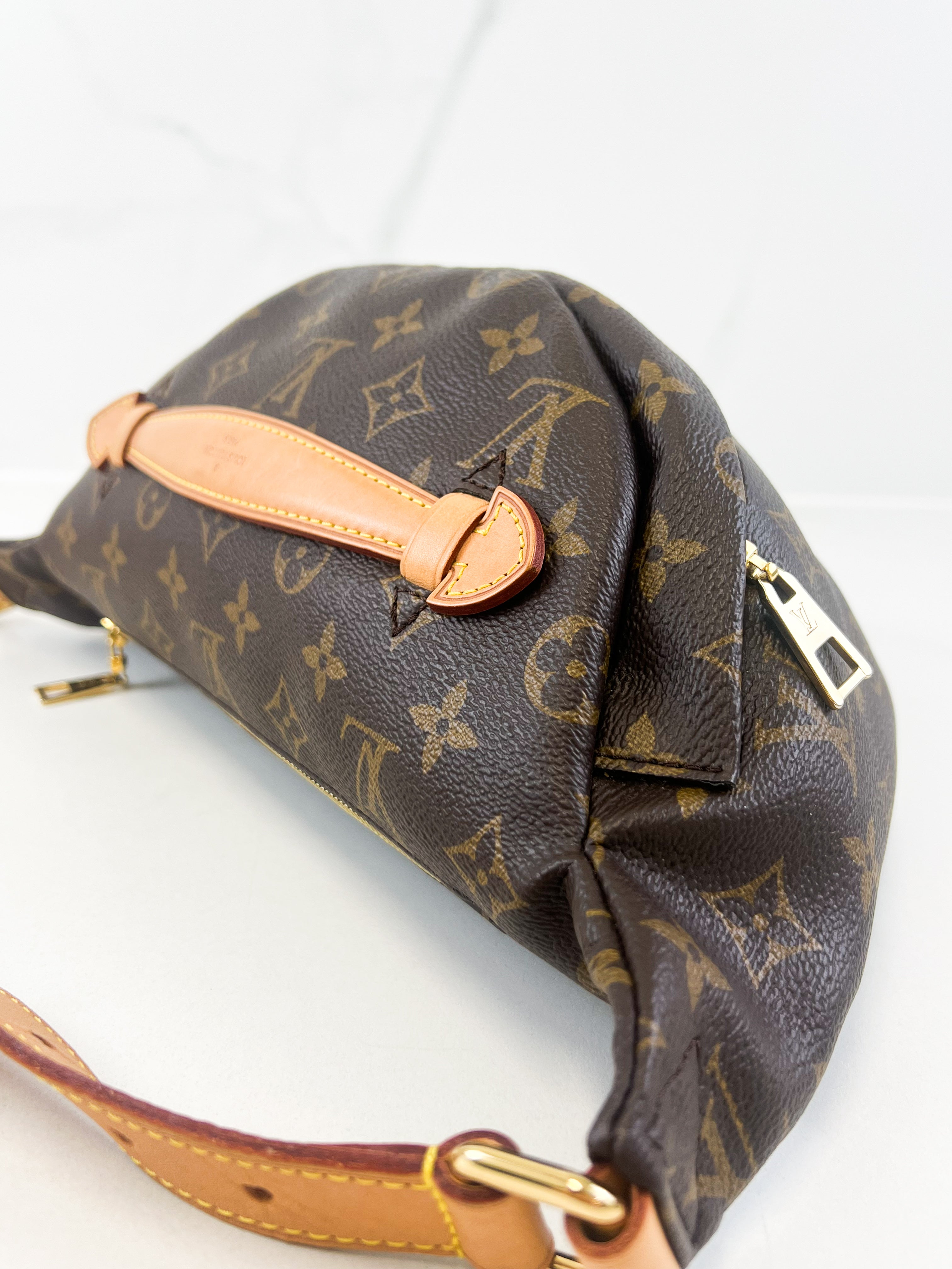 Louis Vuitton Monogram Canvas Bumbag