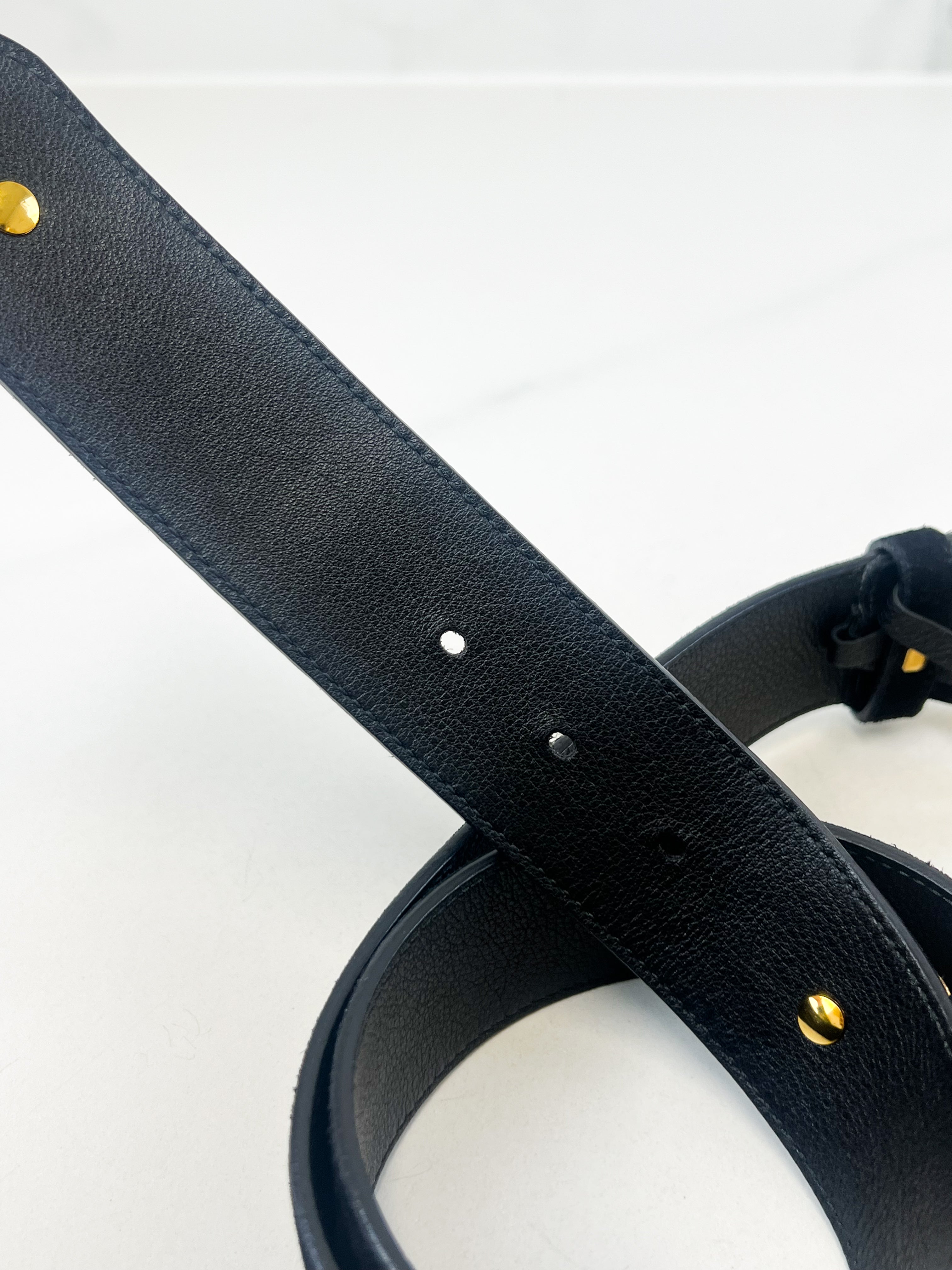 Gucci GG Velvet Belt 40mm with Gold tone Floral Detail in Size 85