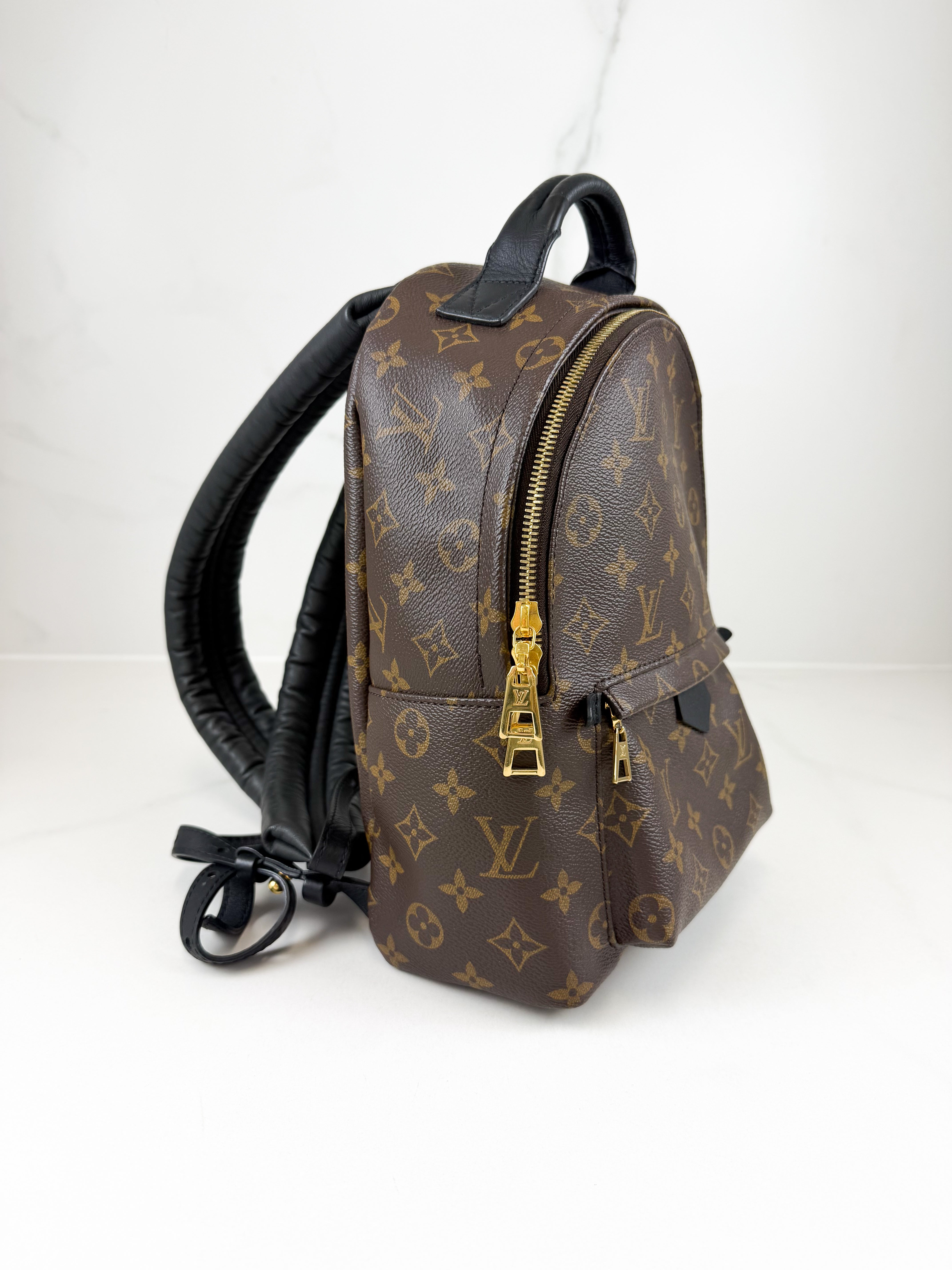 Louis Vuitton Palm Springs PM Monogram