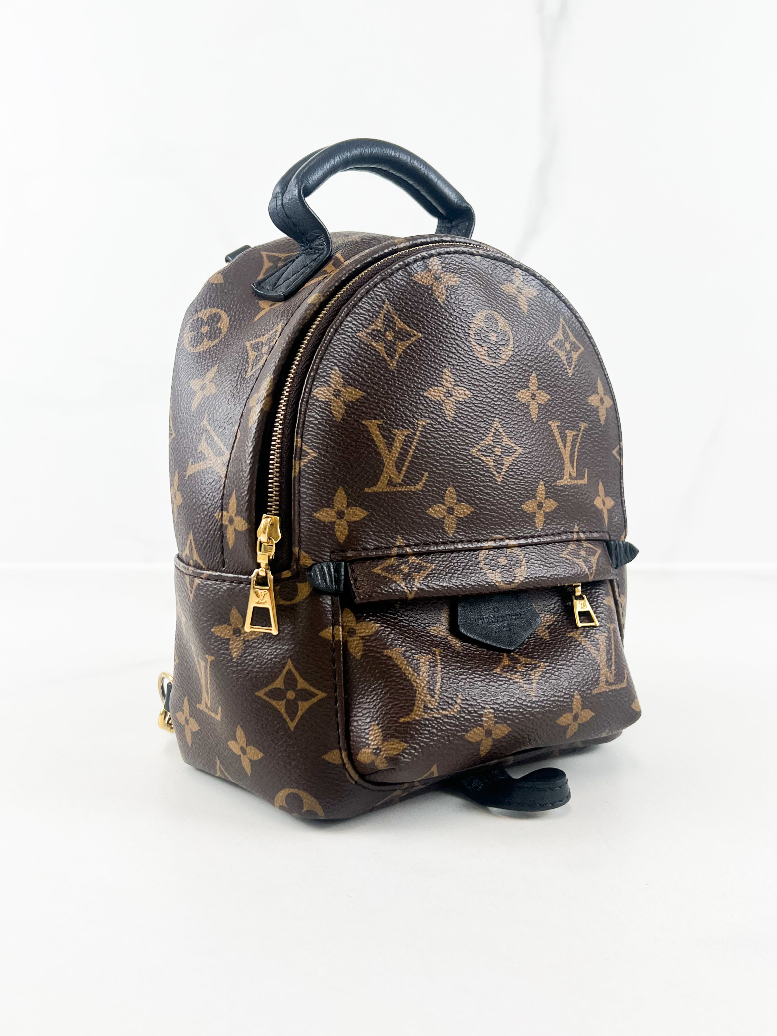 Louis Vuitton Palm Springs Mini