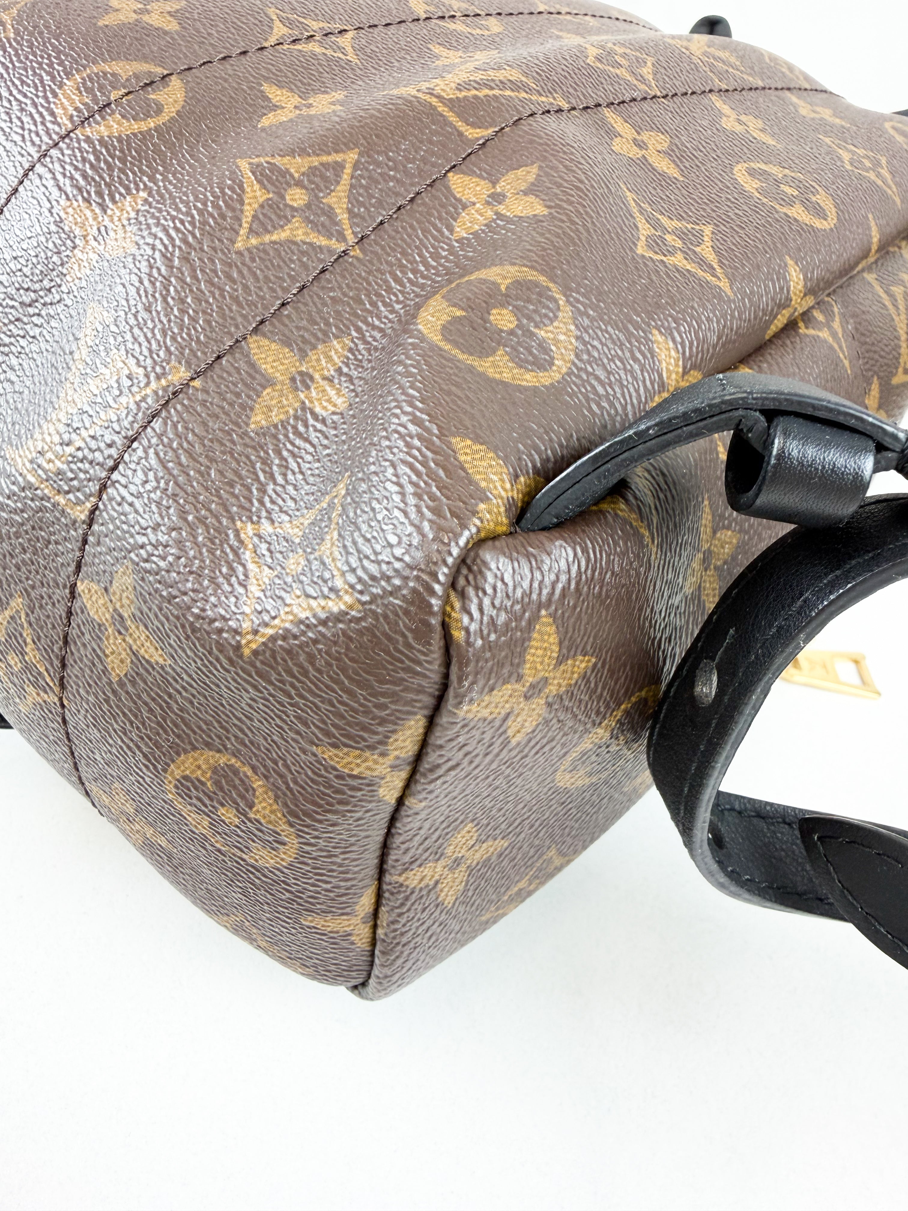 Louis Vuitton Palm Springs PM Monogram