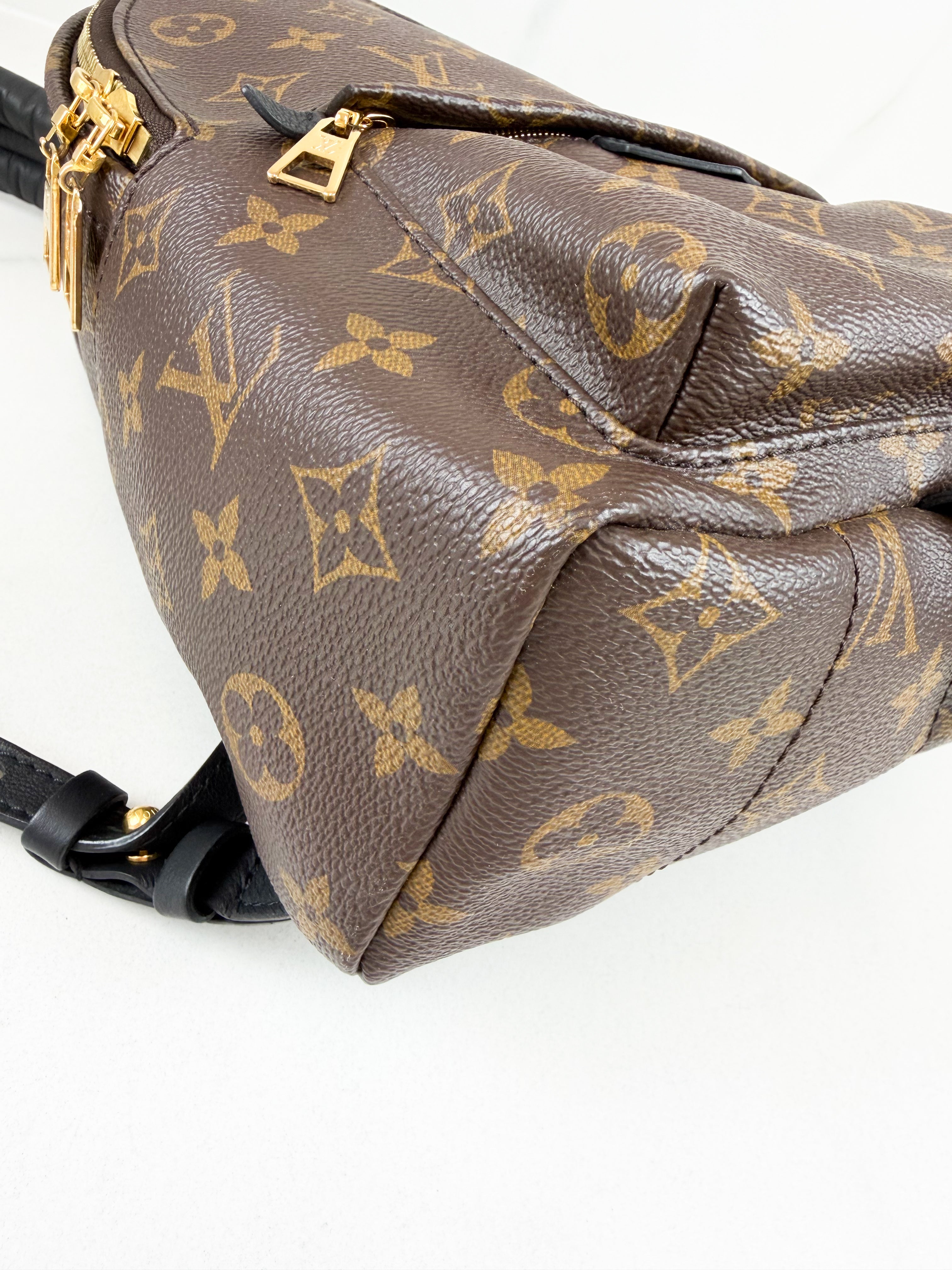 Louis Vuitton Palm Springs PM Monogram