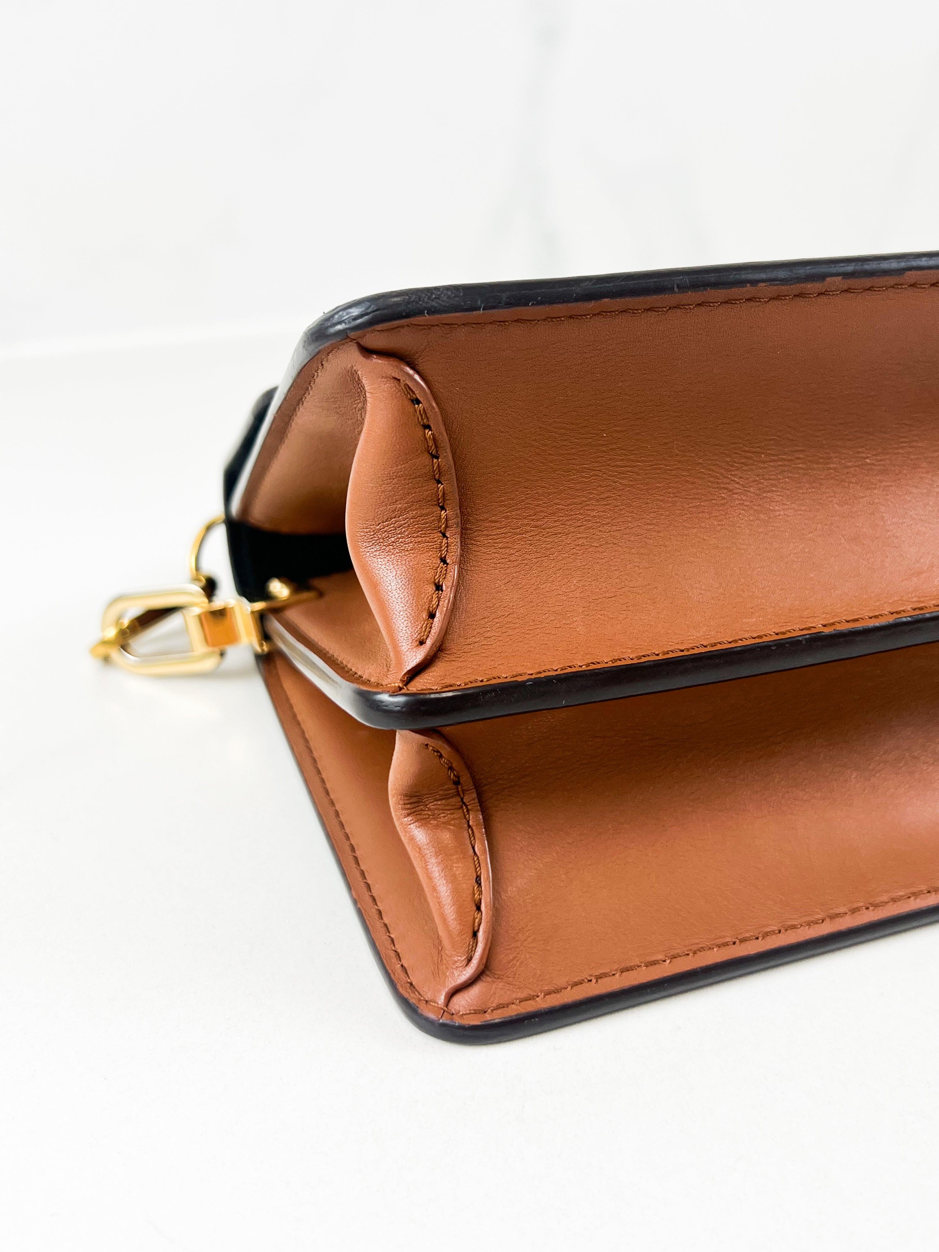 Louis Vuitton Dauphine Reverse Monogram Mini Crossbody Bag
