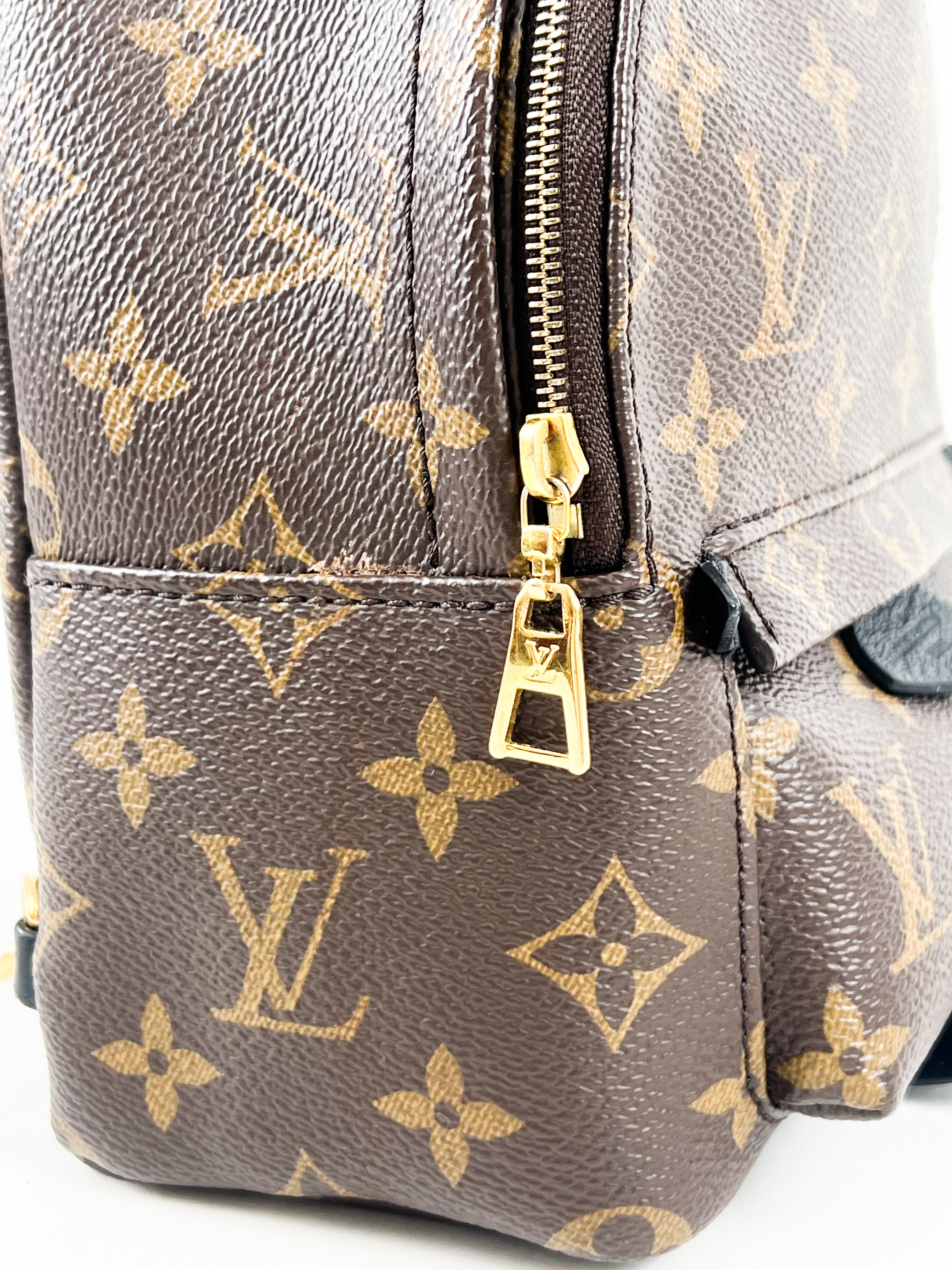 Louis Vuitton Palm Springs Mini