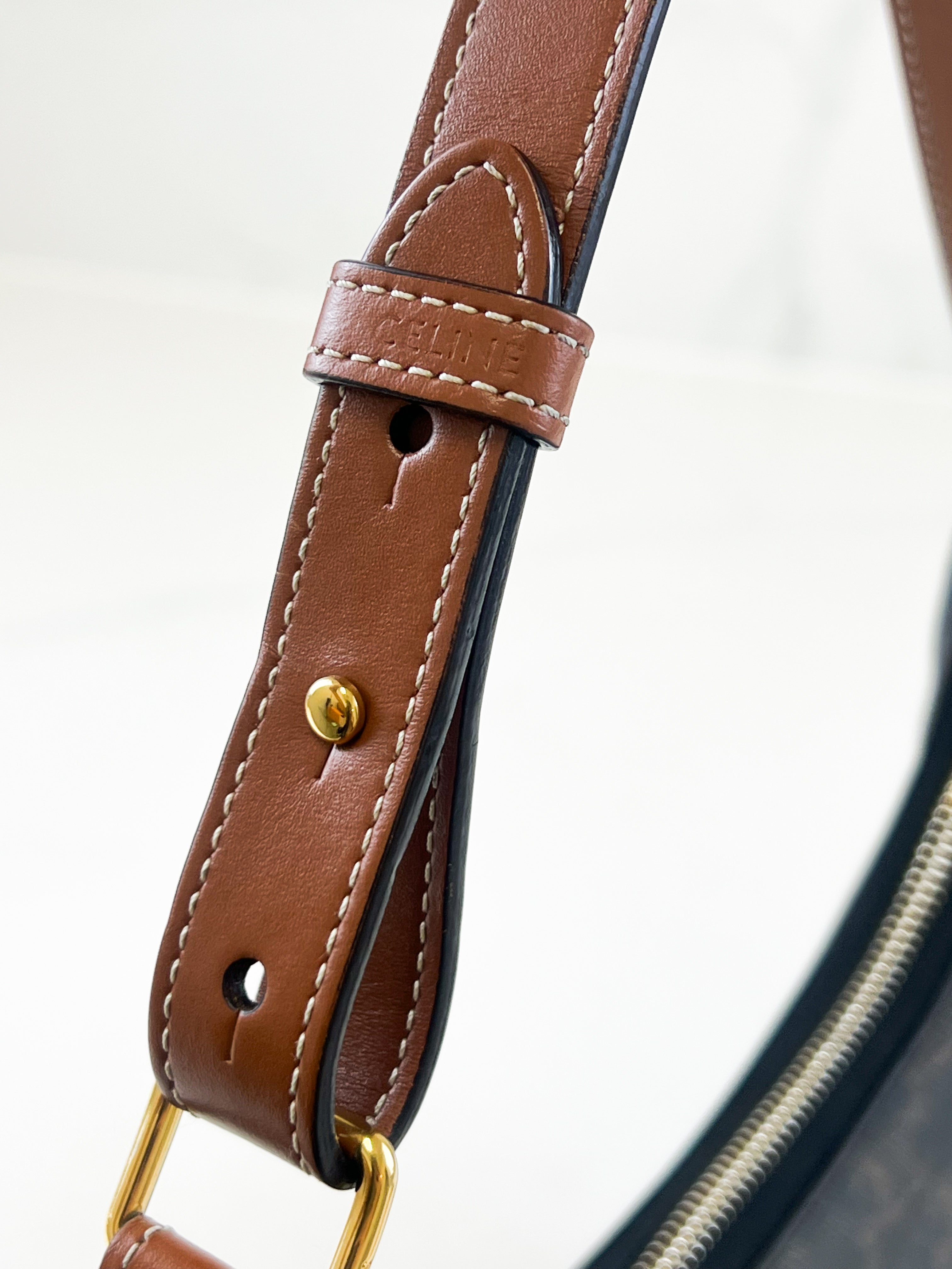 Celine Medium Ava Bag in Triomphe Canvas & Calfskin