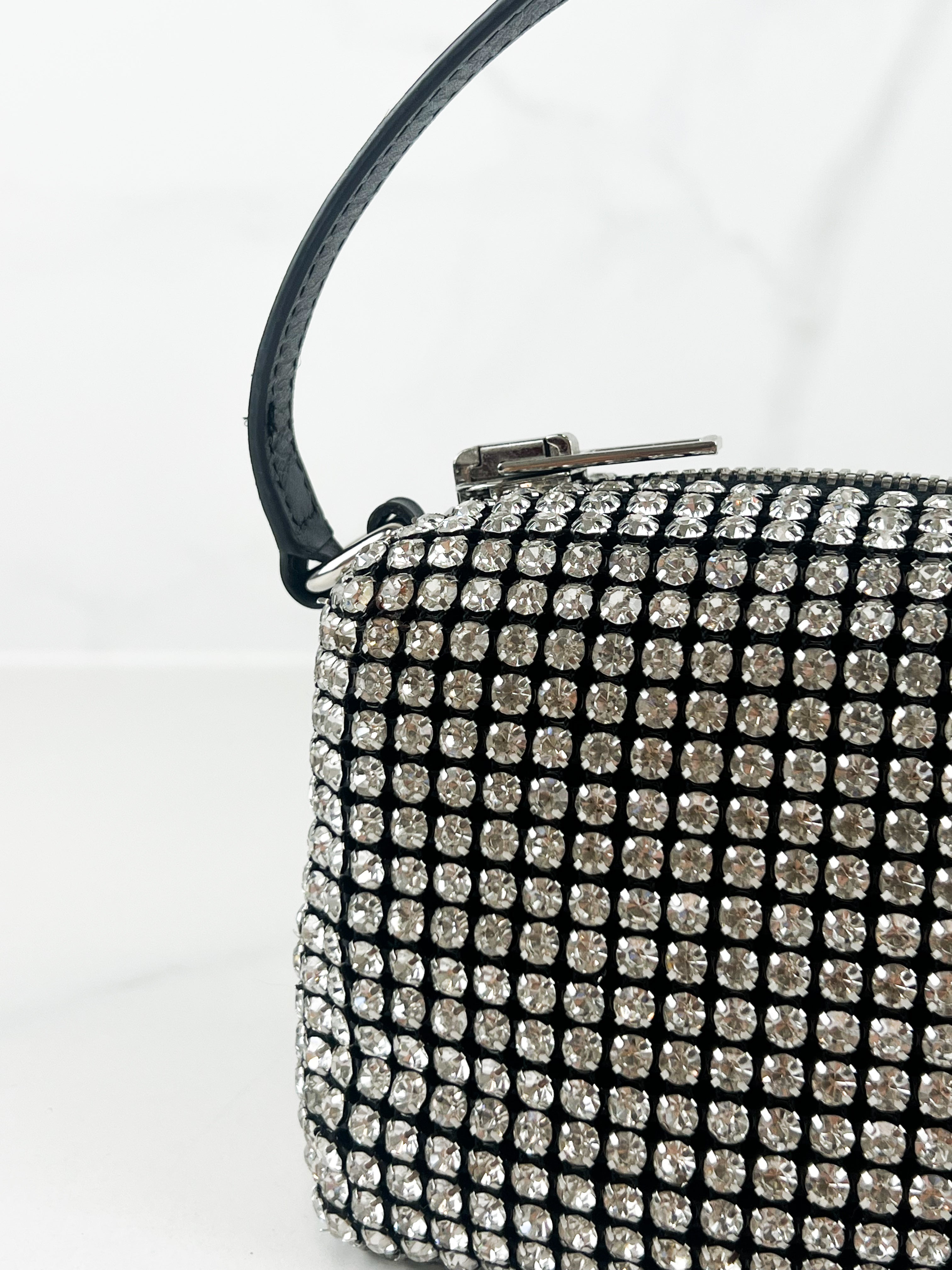 Alexander Wang Heiress Pouch