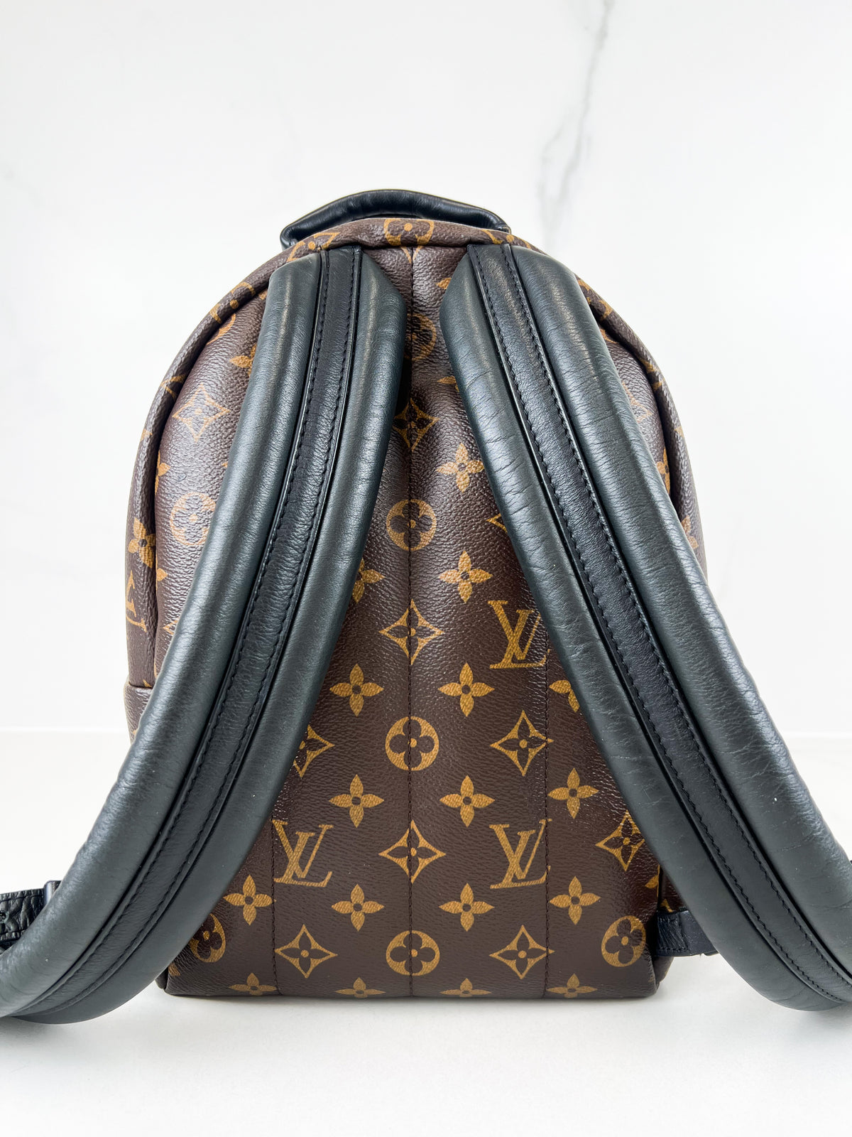 Louis Vuitton Palm Springs PM Monogram