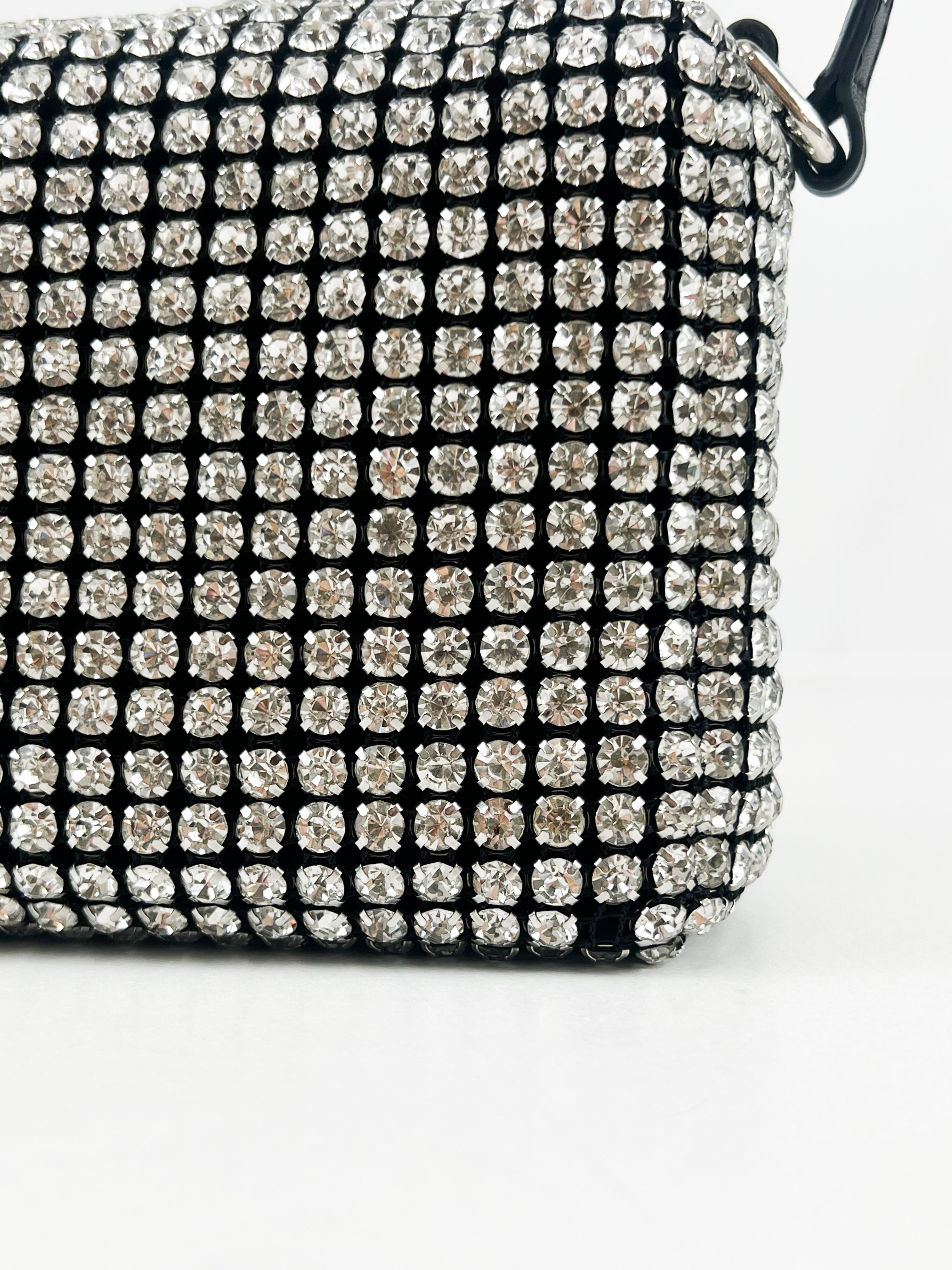 Alexander Wang Heiress Pouch