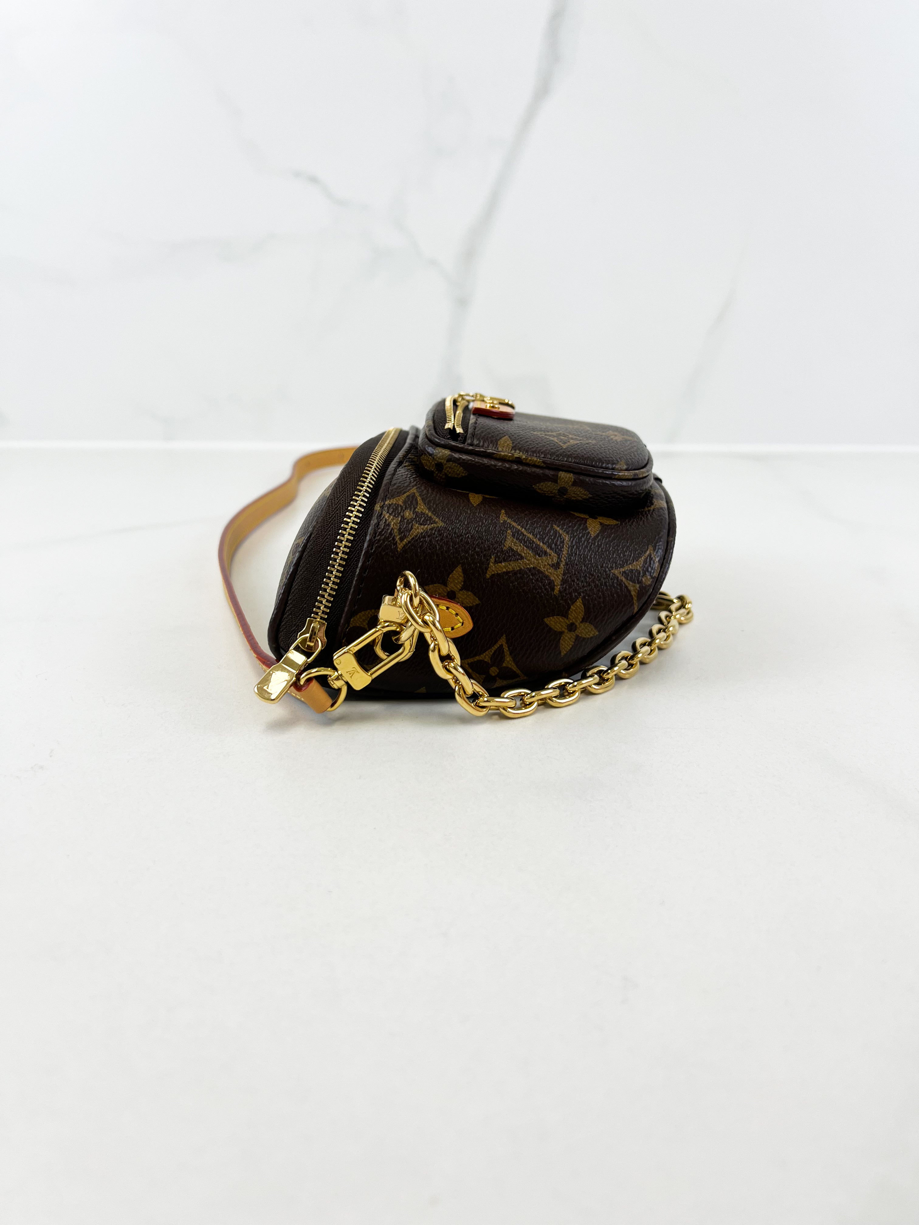 Louis Vuitton Monogram Canvas Bumbag