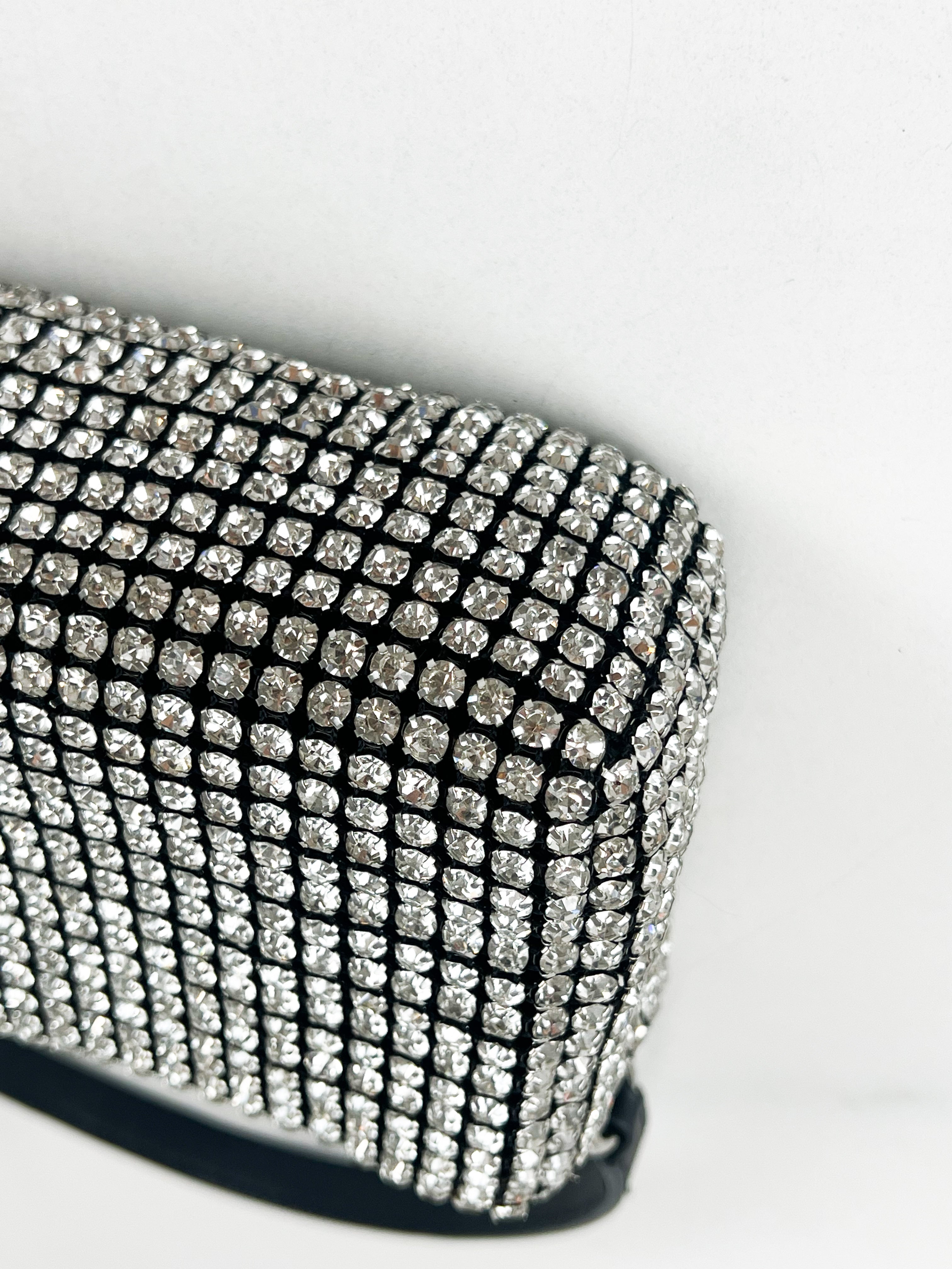 Alexander Wang Heiress Pouch