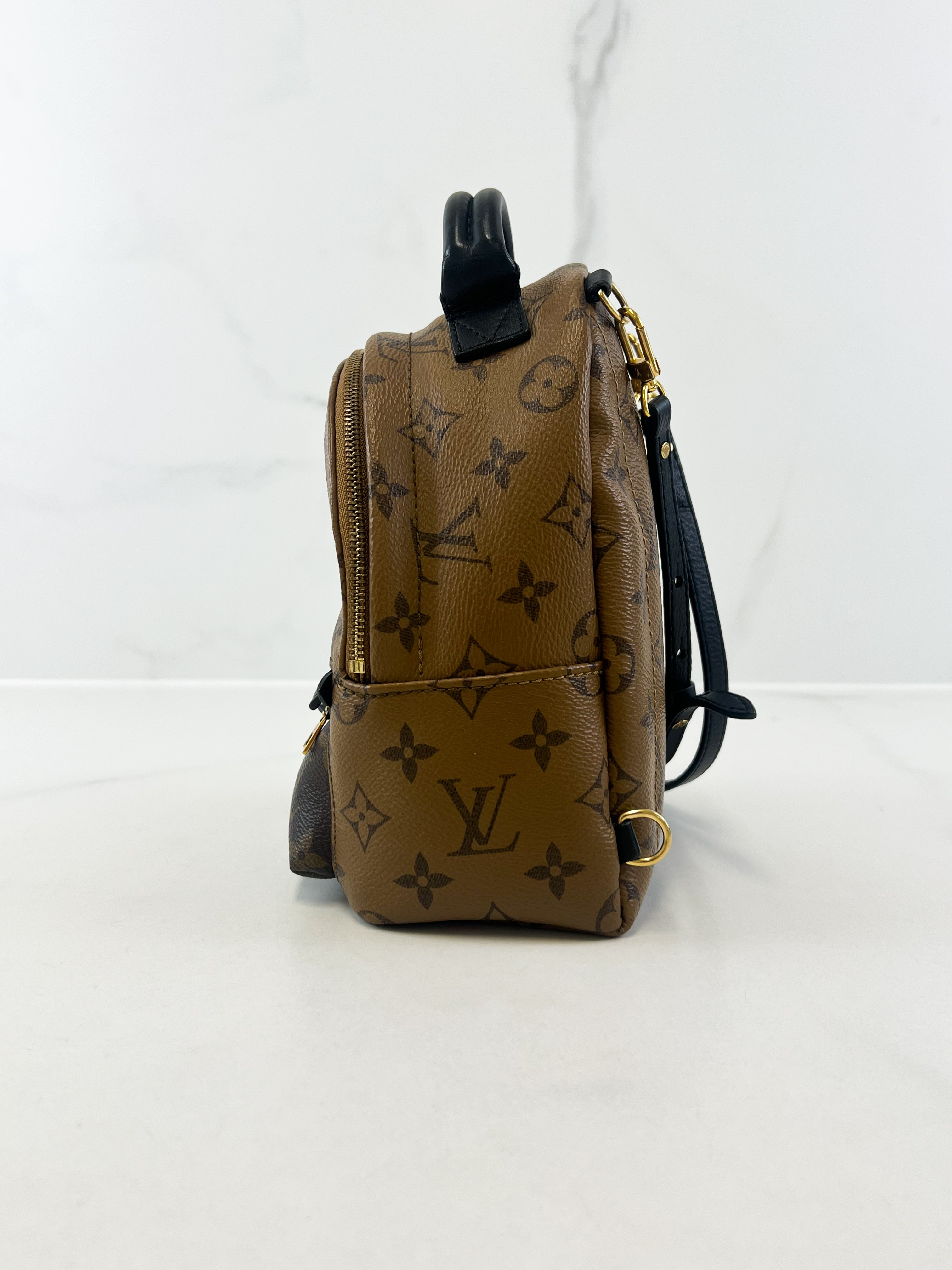 Louis Vuitton Reverse Palm Springs Mini Backpack