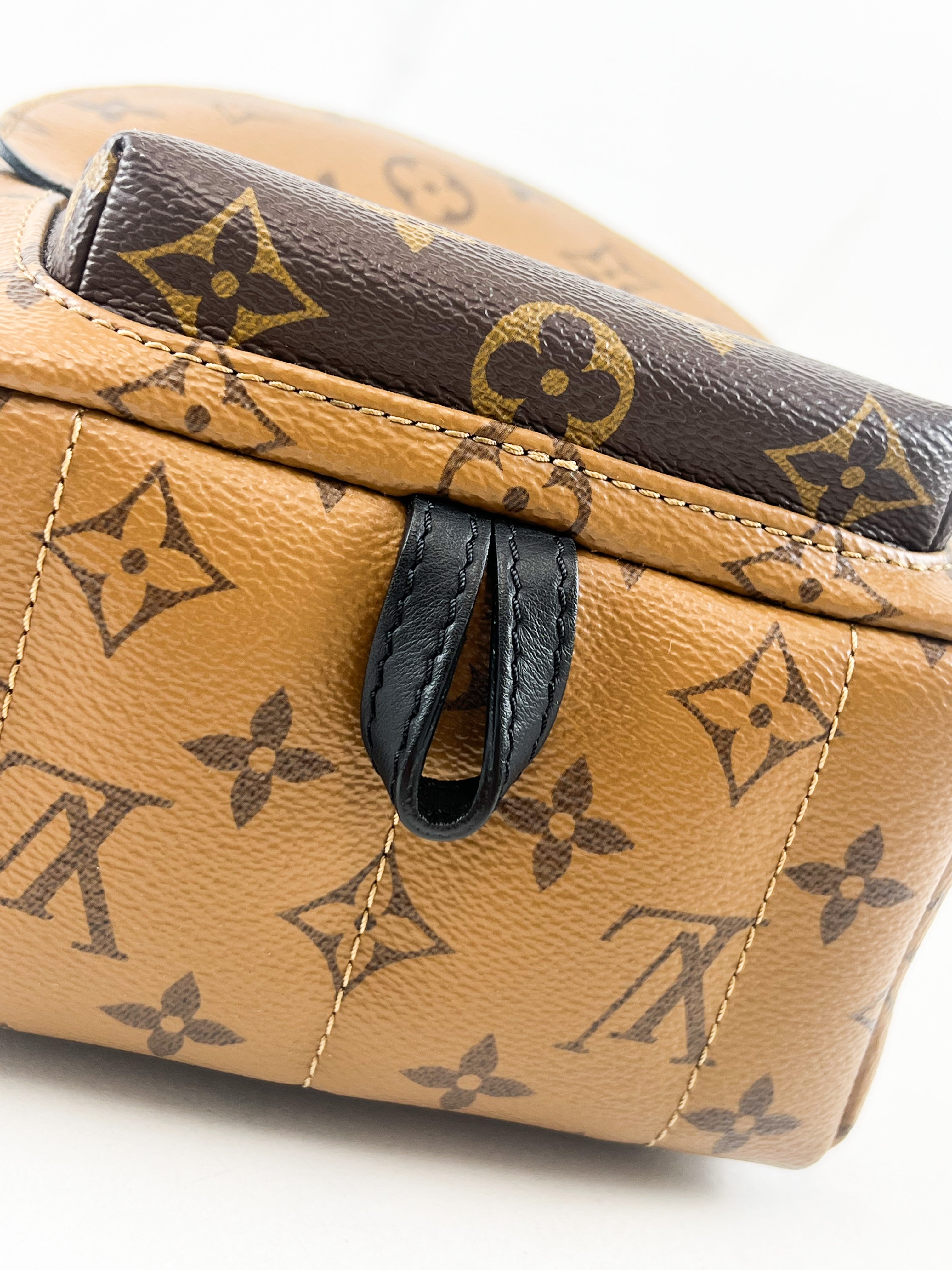 Louis Vuitton Reverse Palm Springs Mini Backpack