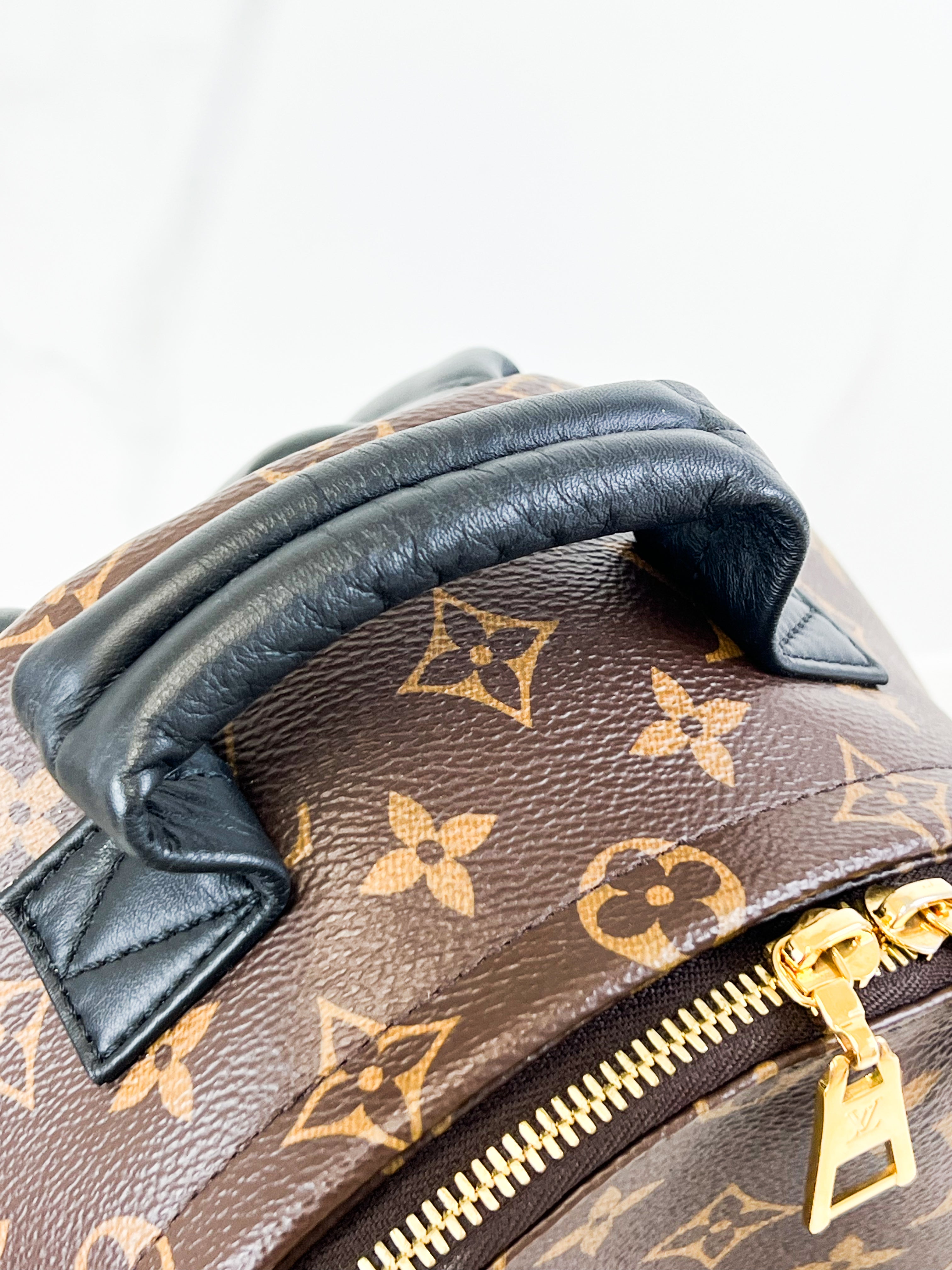 Louis Vuitton Palm Springs PM Monogram
