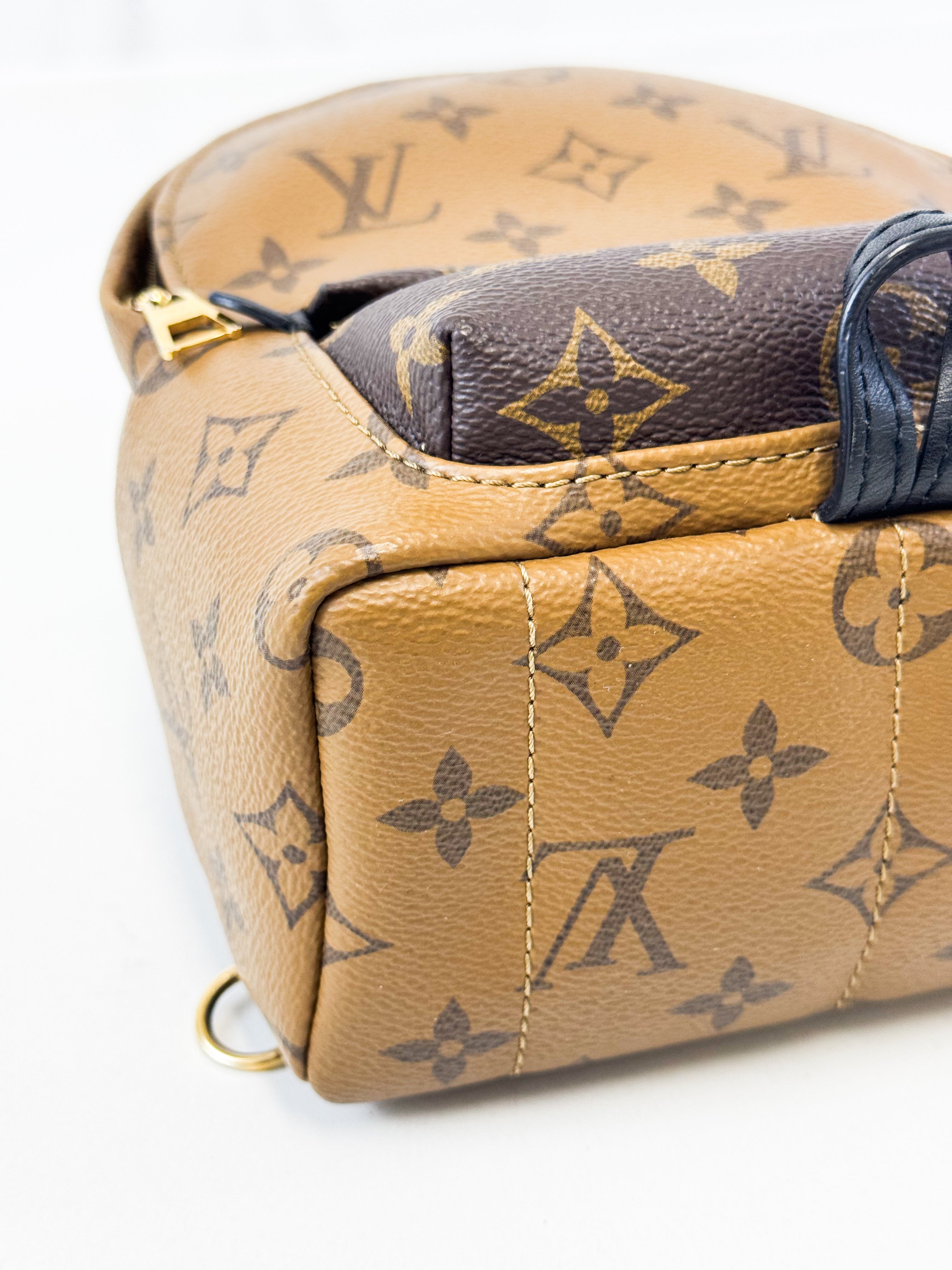 Louis Vuitton Reverse Palm Springs Mini Backpack