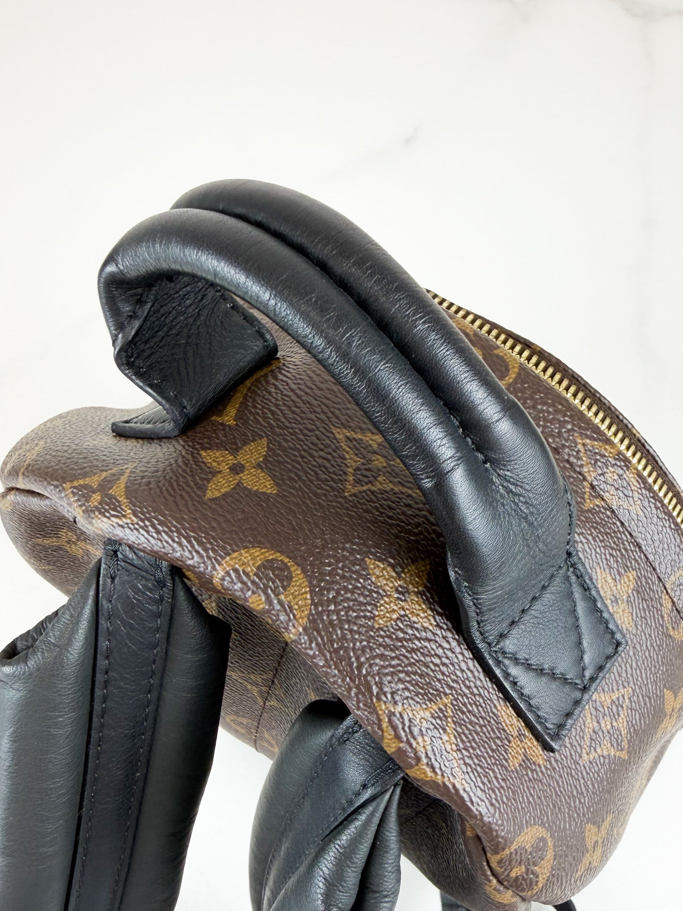 Louis Vuitton Palm Springs PM Monogram