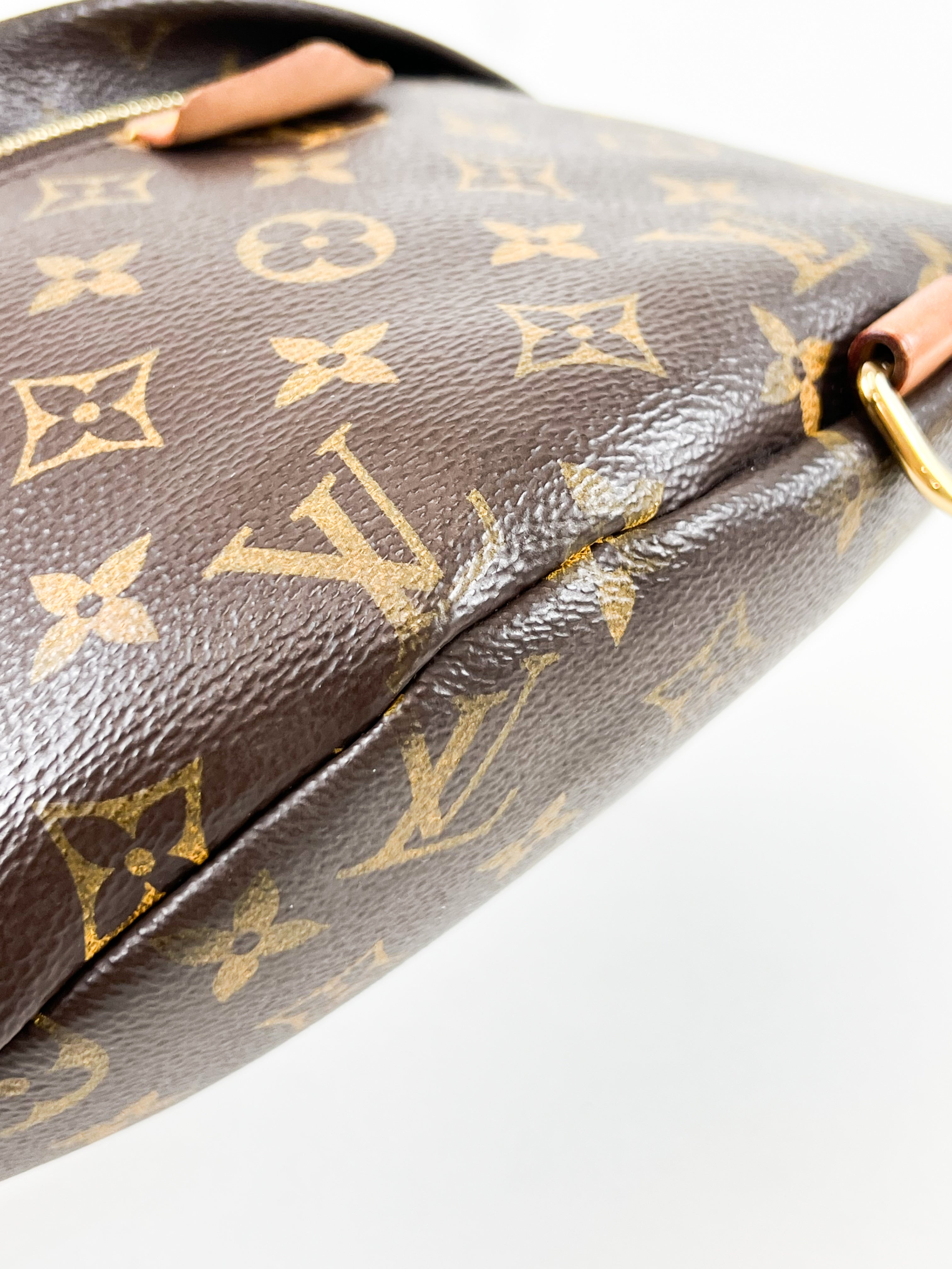 Louis Vuitton Monogram Canvas Bumbag