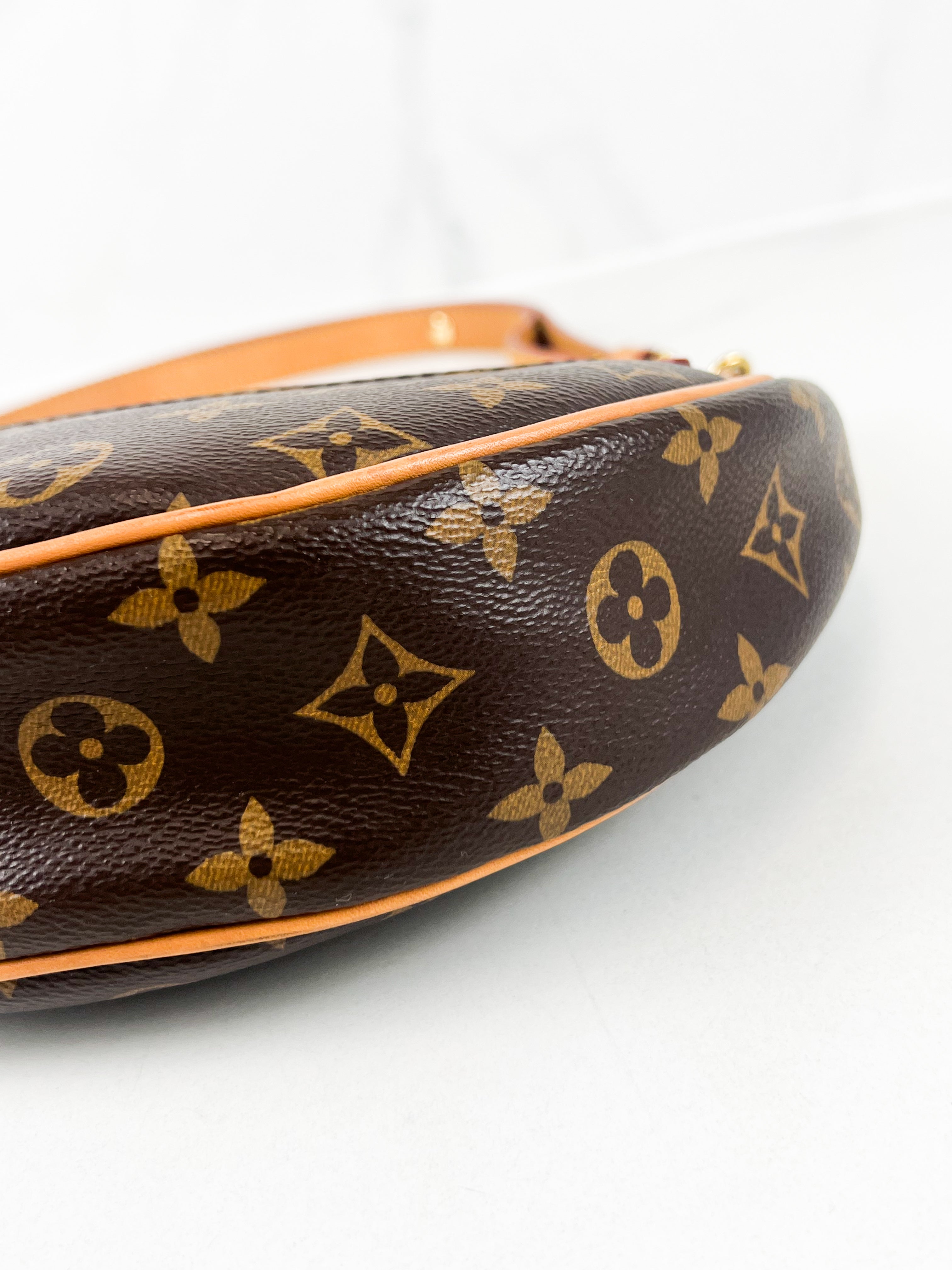 Louis Vuitton Loop Monogram