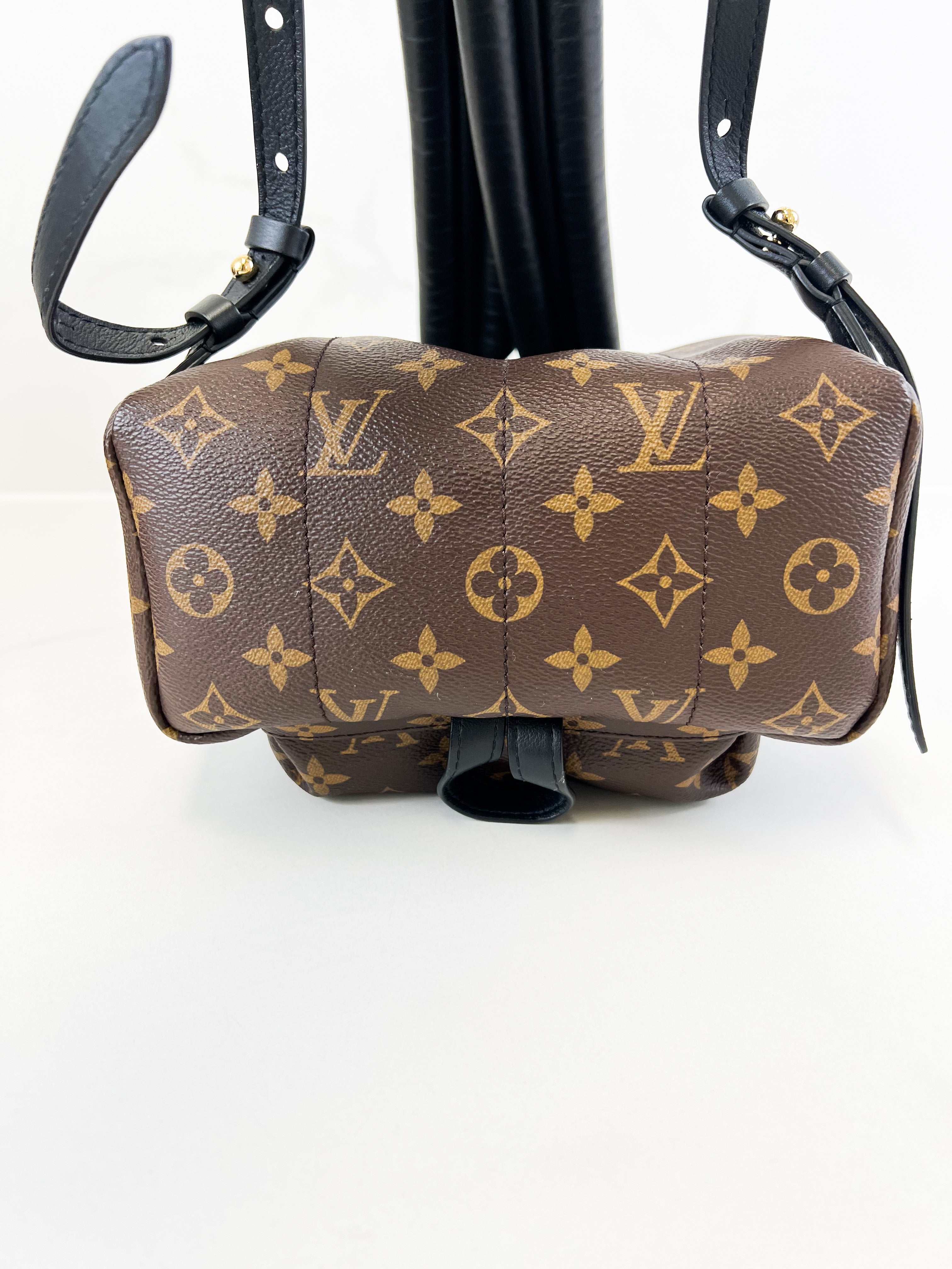 Louis Vuitton Palm Springs PM Monogram