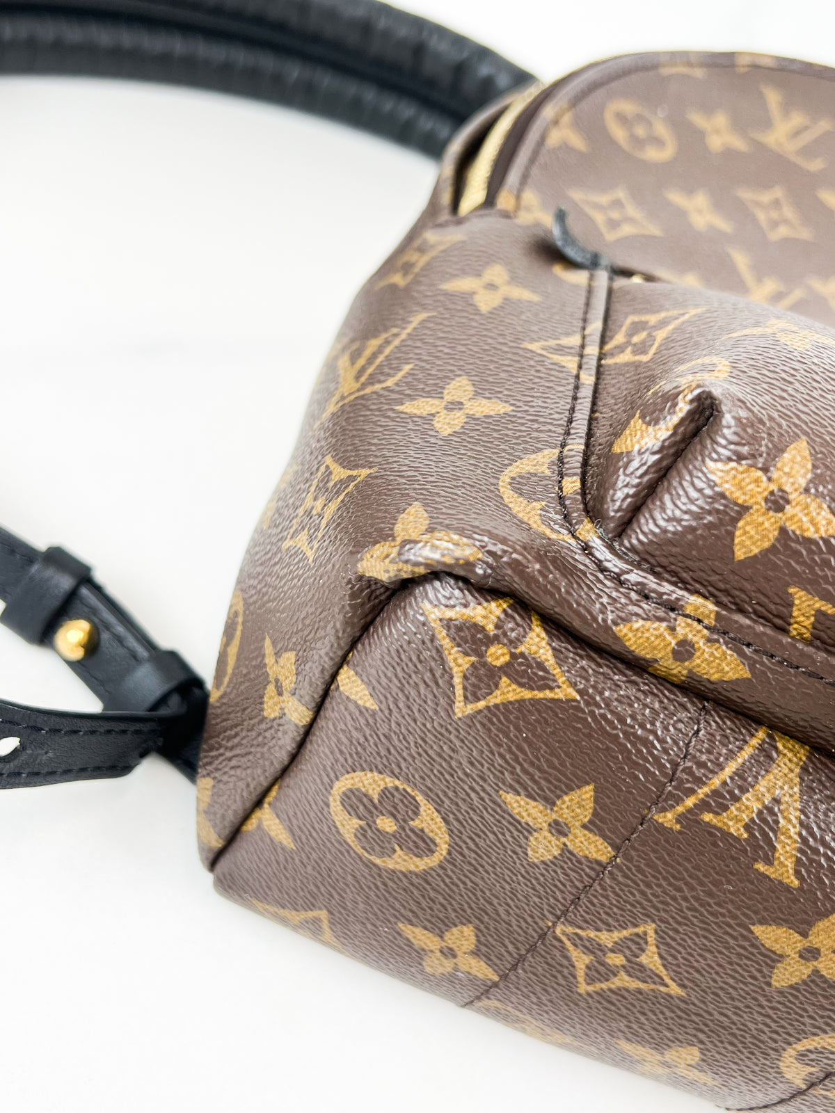 Louis Vuitton Palm Springs PM Monogram