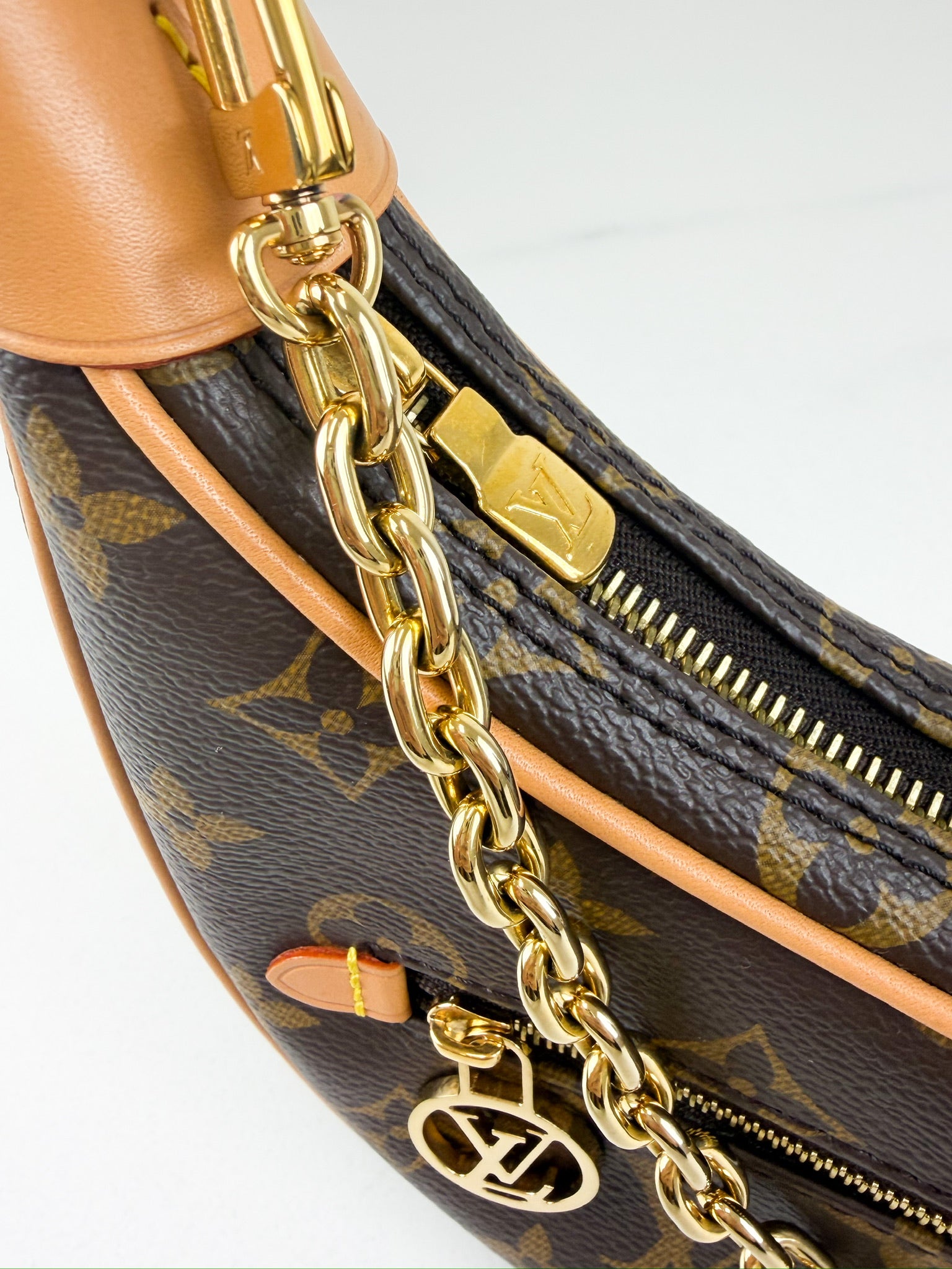 Louis Vuitton Loop Monogram Chain Bag