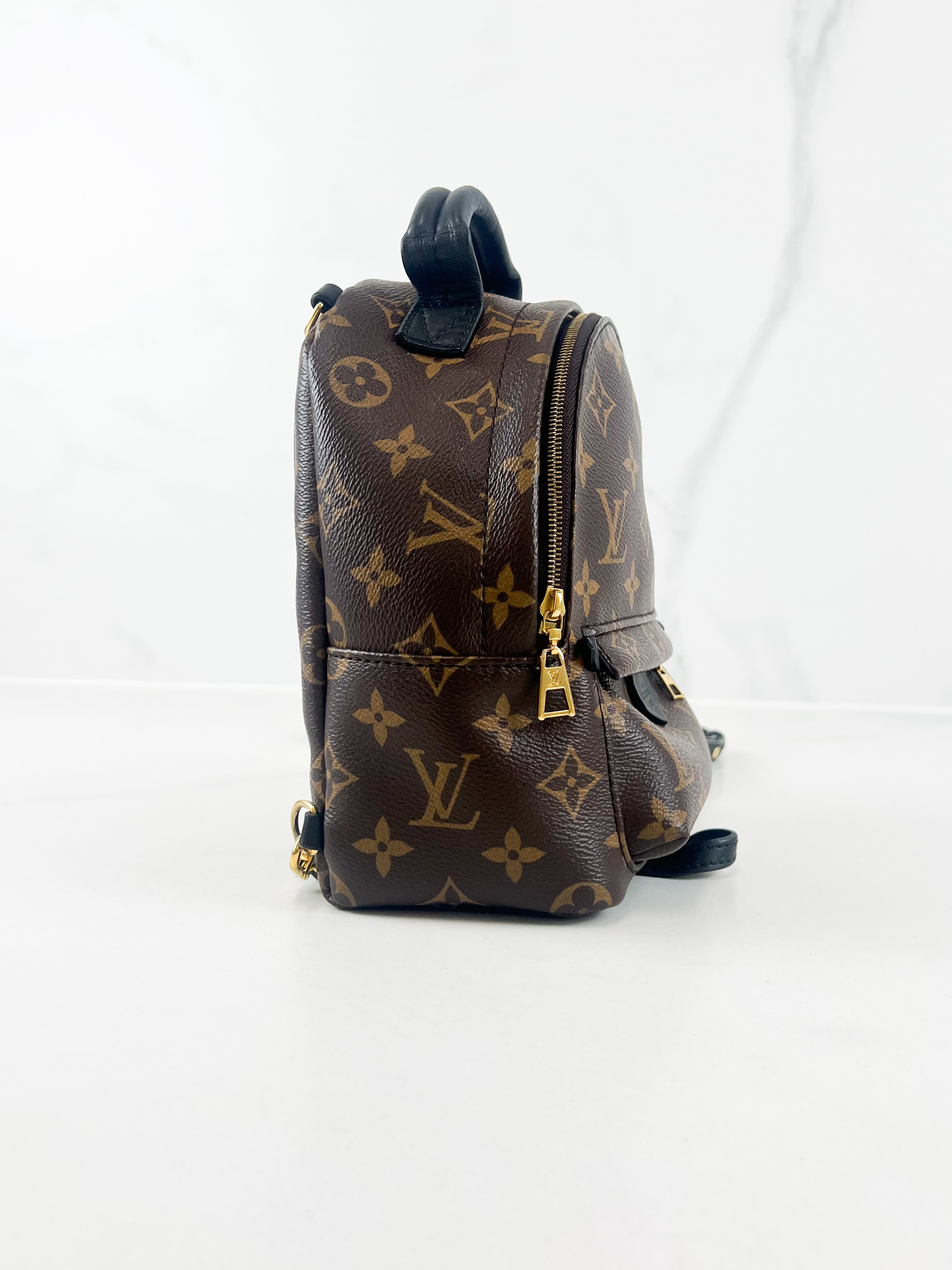 Louis Vuitton Palm Springs Mini