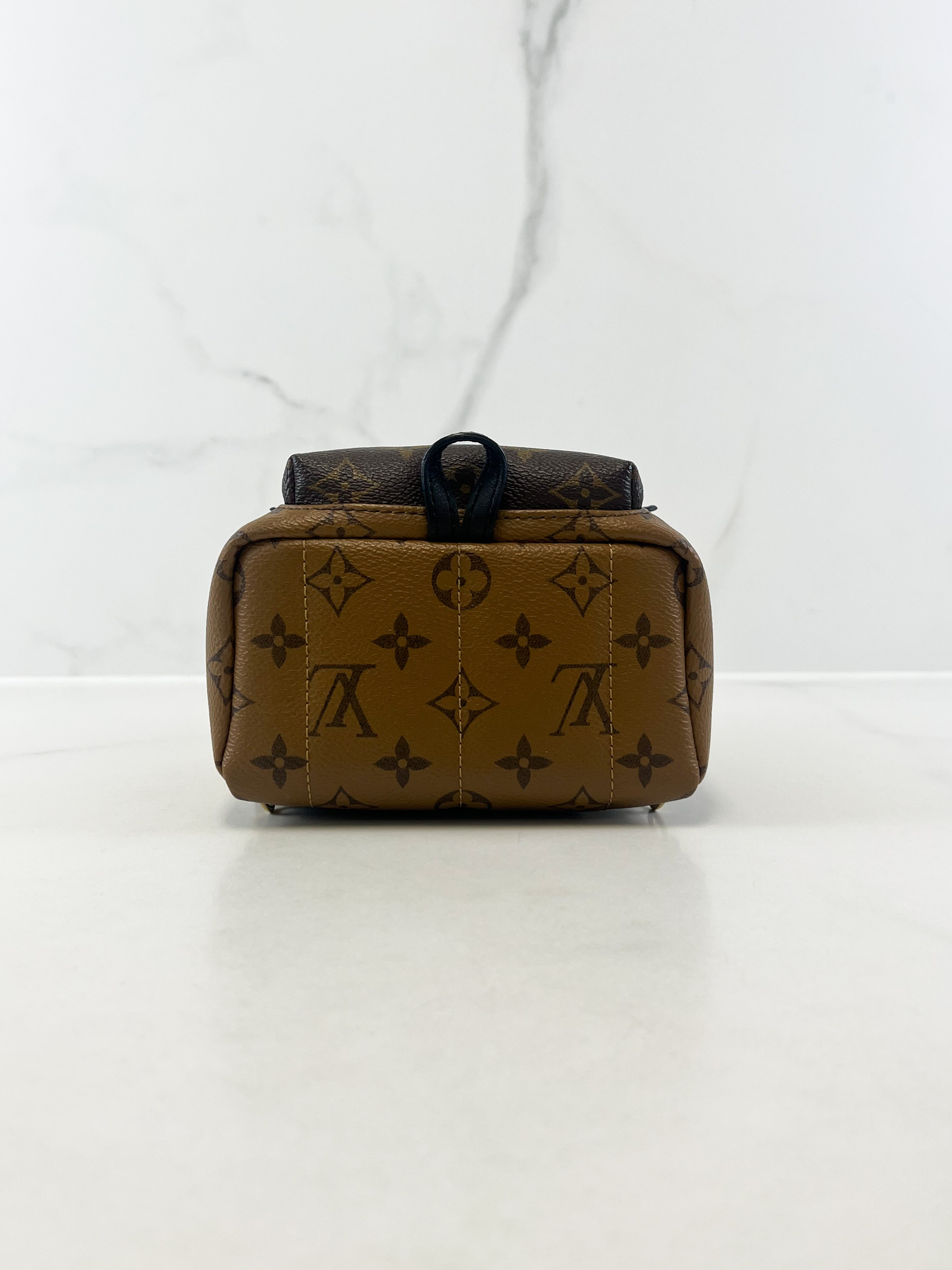 Louis Vuitton Reverse Palm Springs Mini Backpack