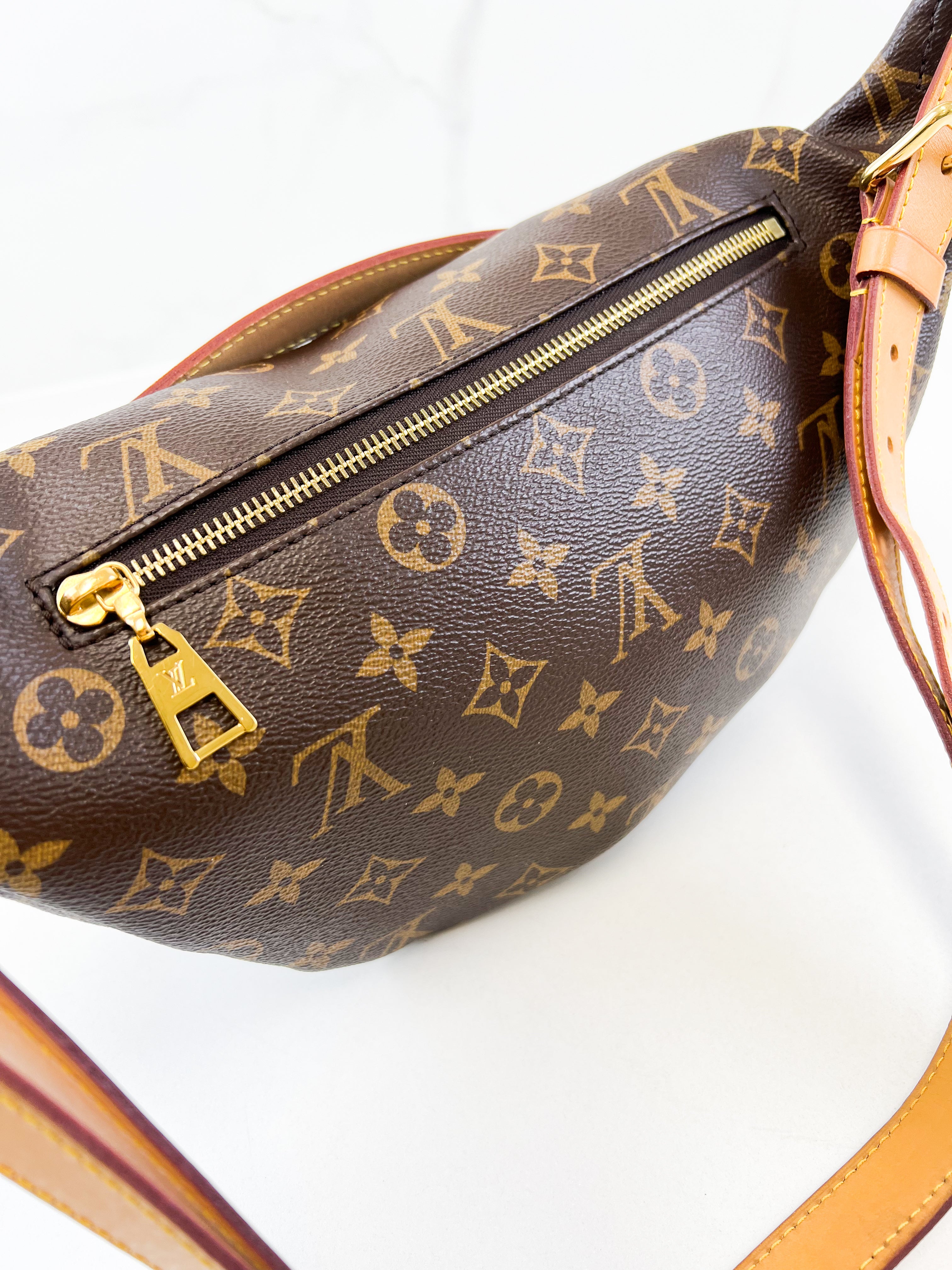 Louis Vuitton Monogram Canvas Bumbag