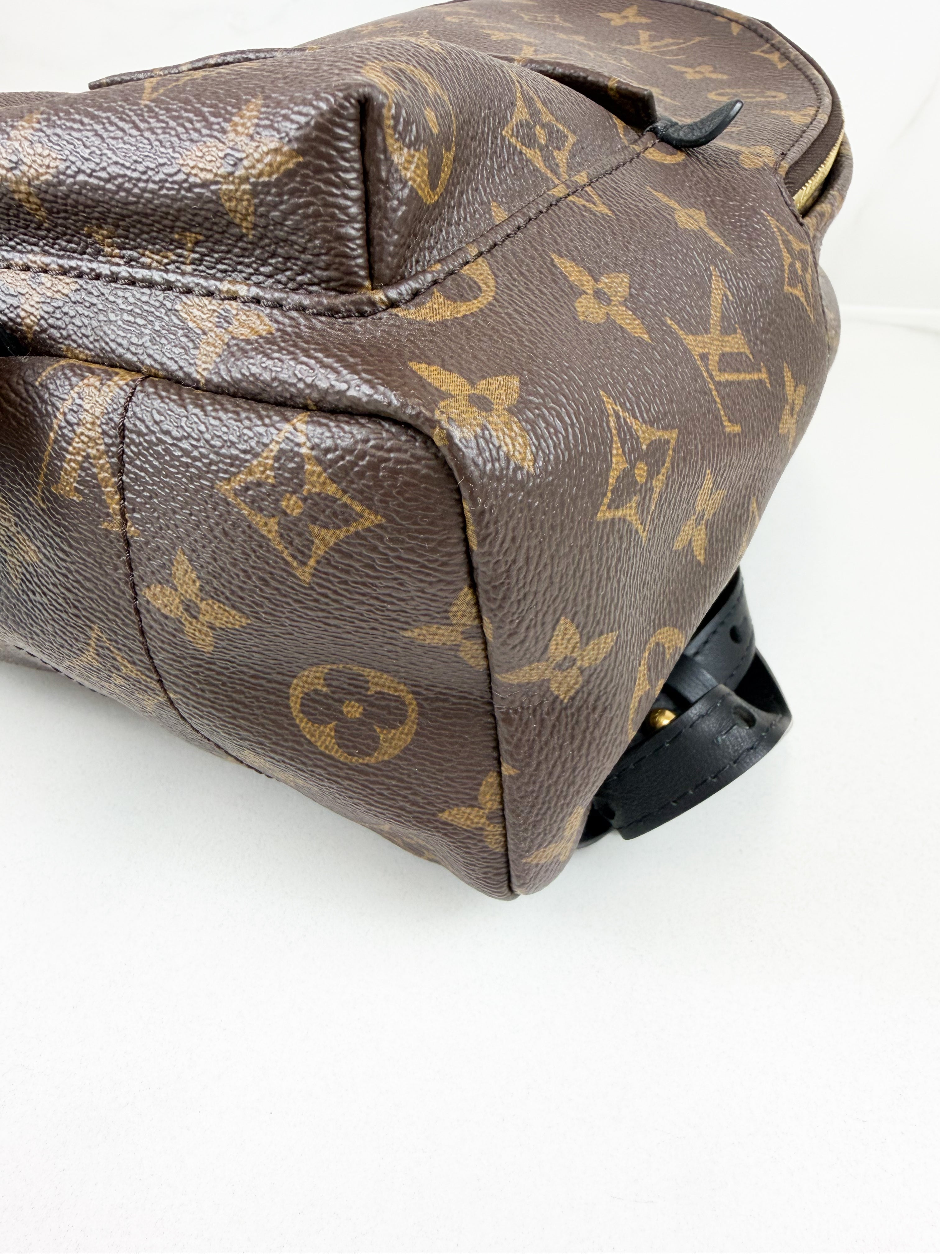 Louis Vuitton Palm Springs PM Monogram