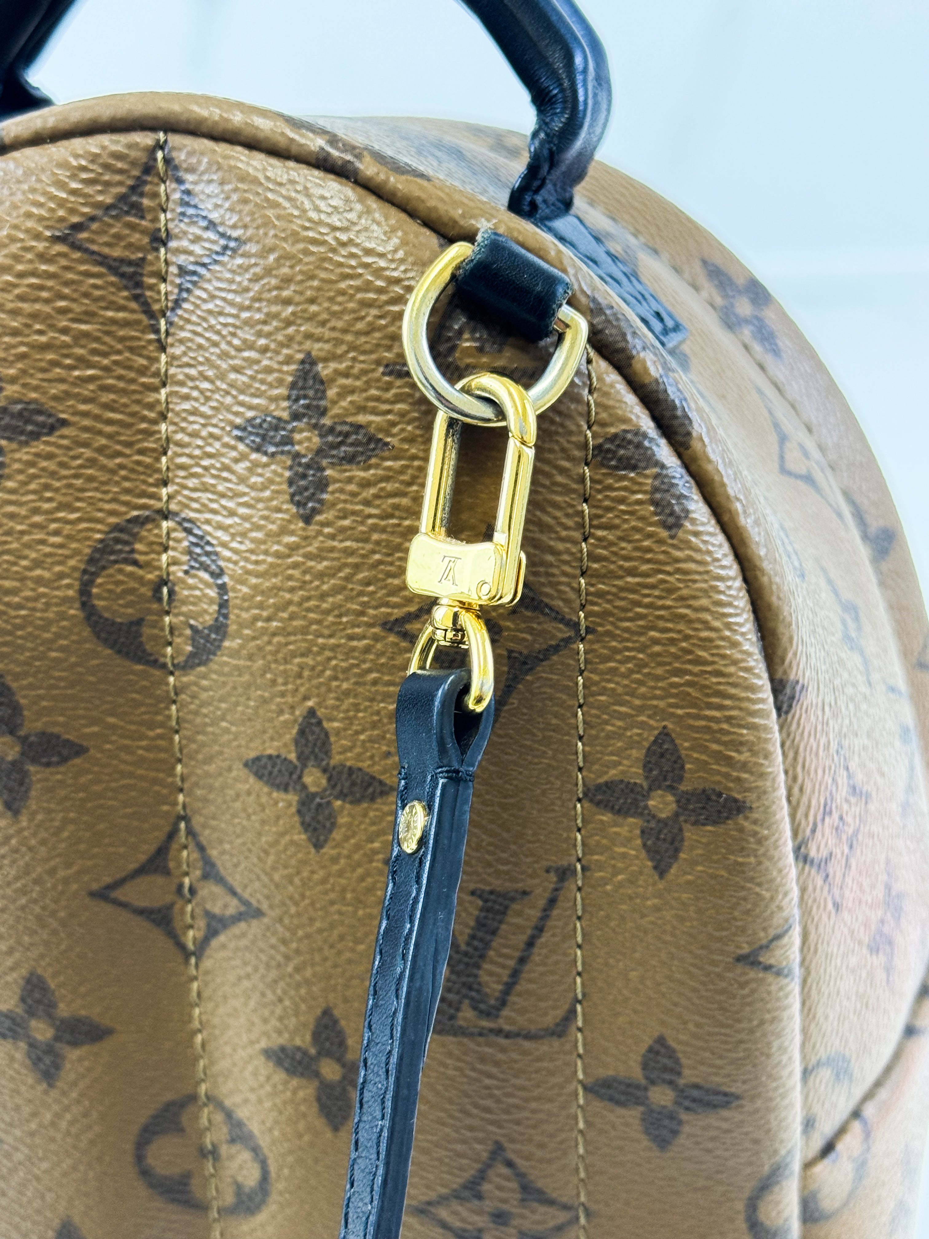 Louis Vuitton Reverse Palm Springs Mini Backpack