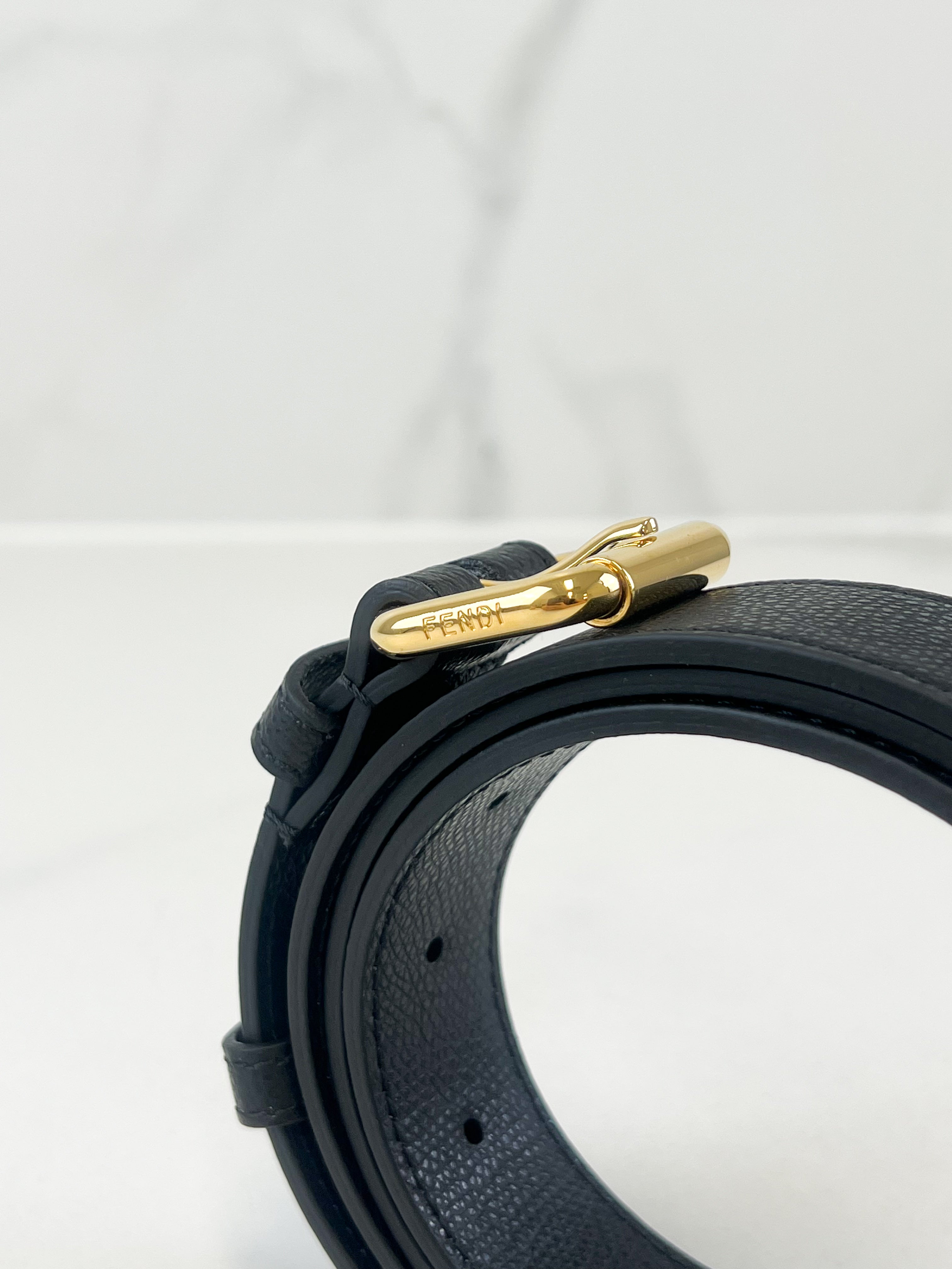 Fendi Belt Bag / Wallet On Chain