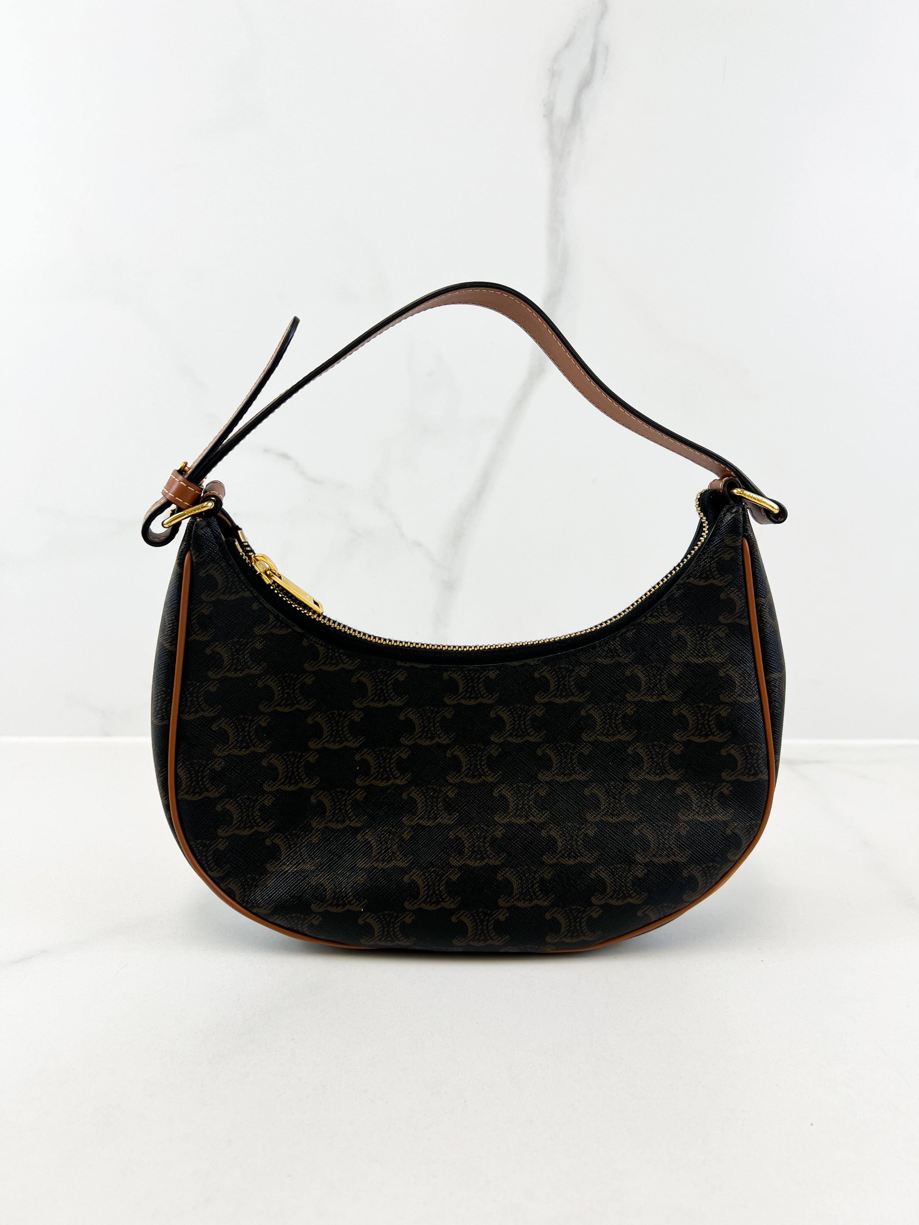 Celine Ava Bag in Triomphe Canvas & Calfskin Ta