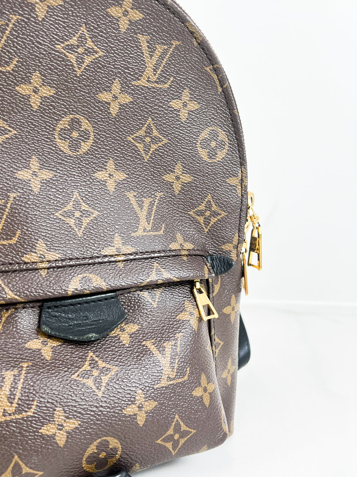 Louis Vuitton Palm Springs PM Monogram