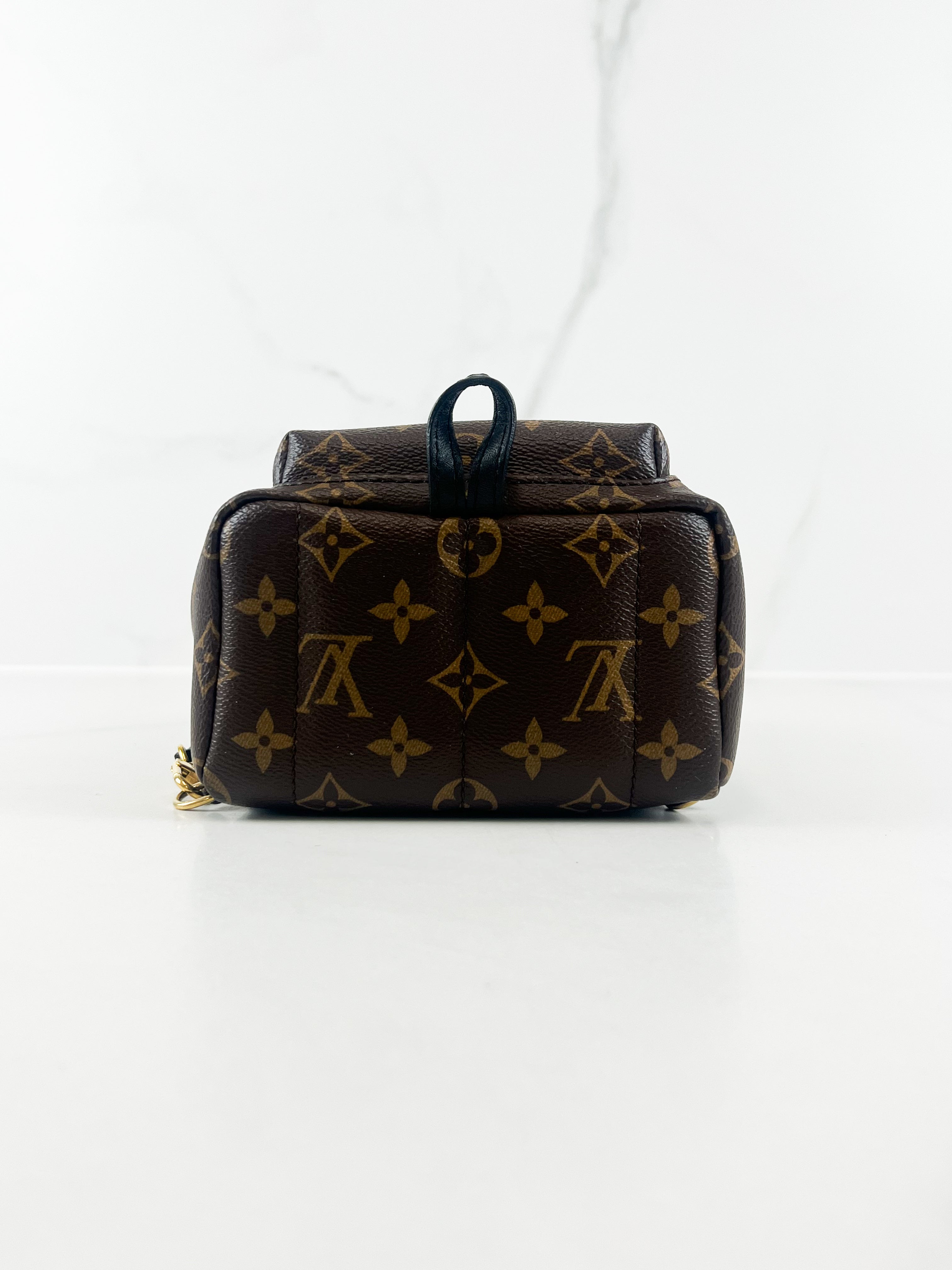 Louis Vuitton Palm Springs Mini