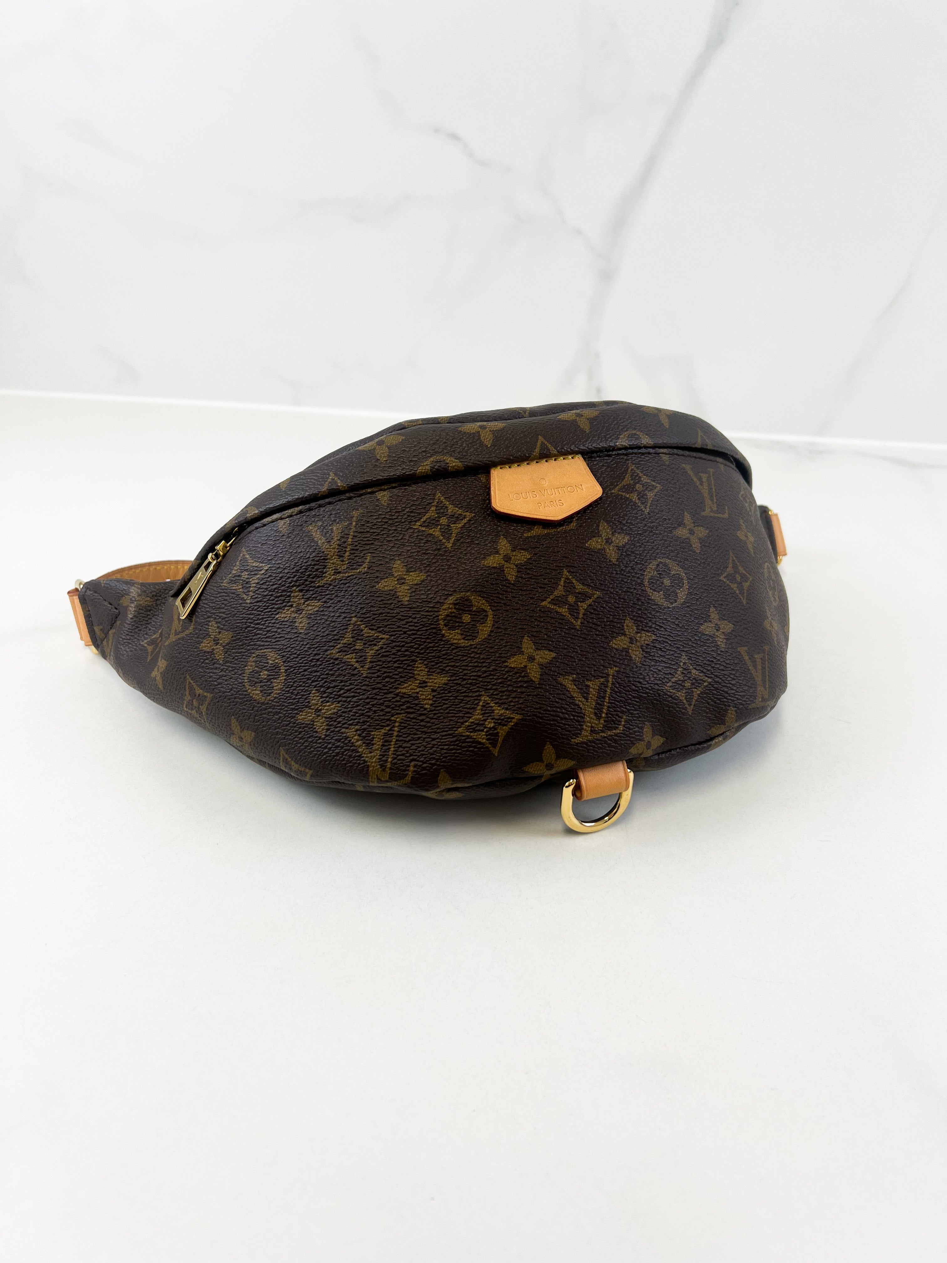 Louis Vuitton Monogram Canvas Bumbag
