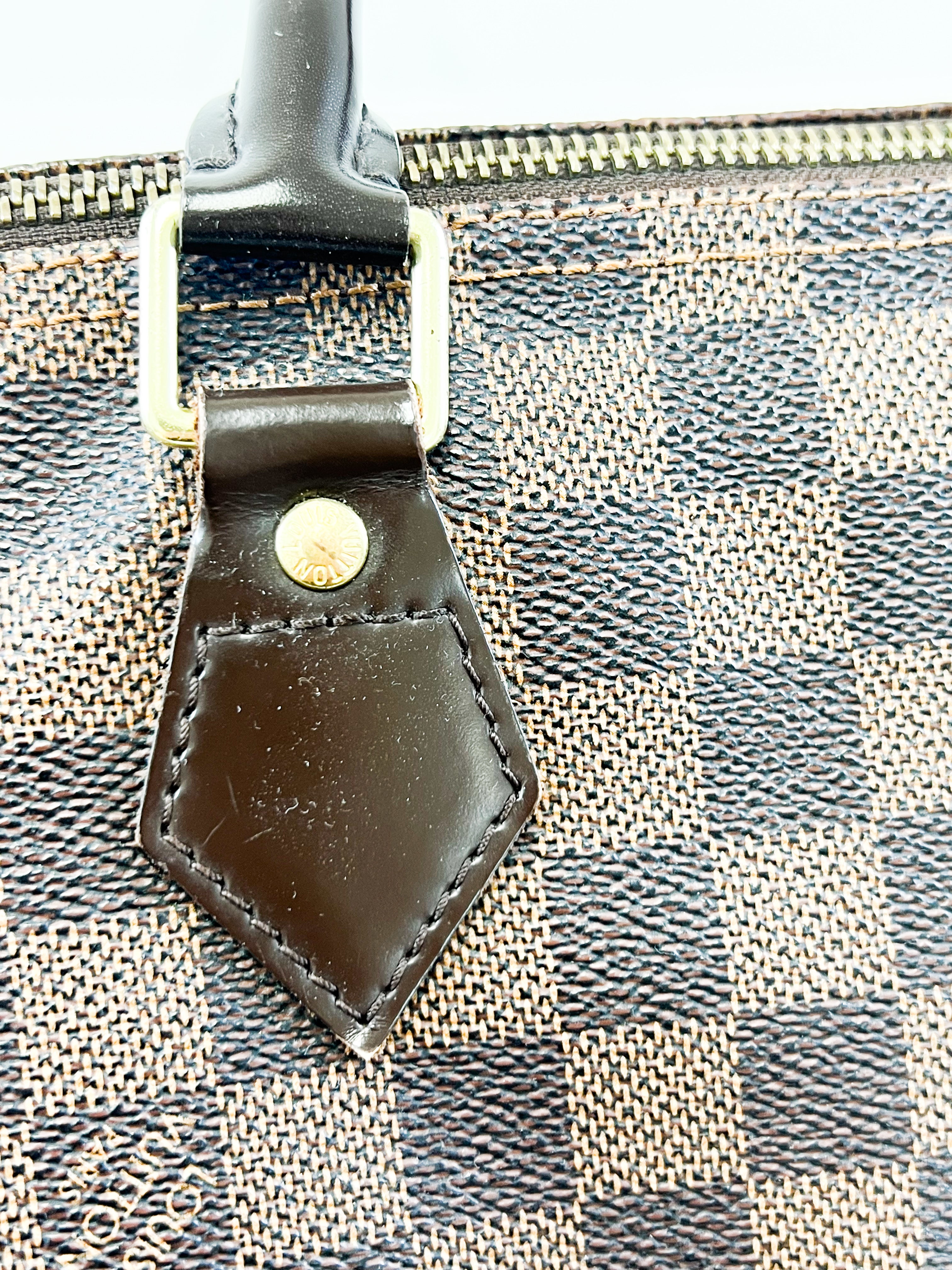 Louis Vuitton Speedy 25 Damier Ebene