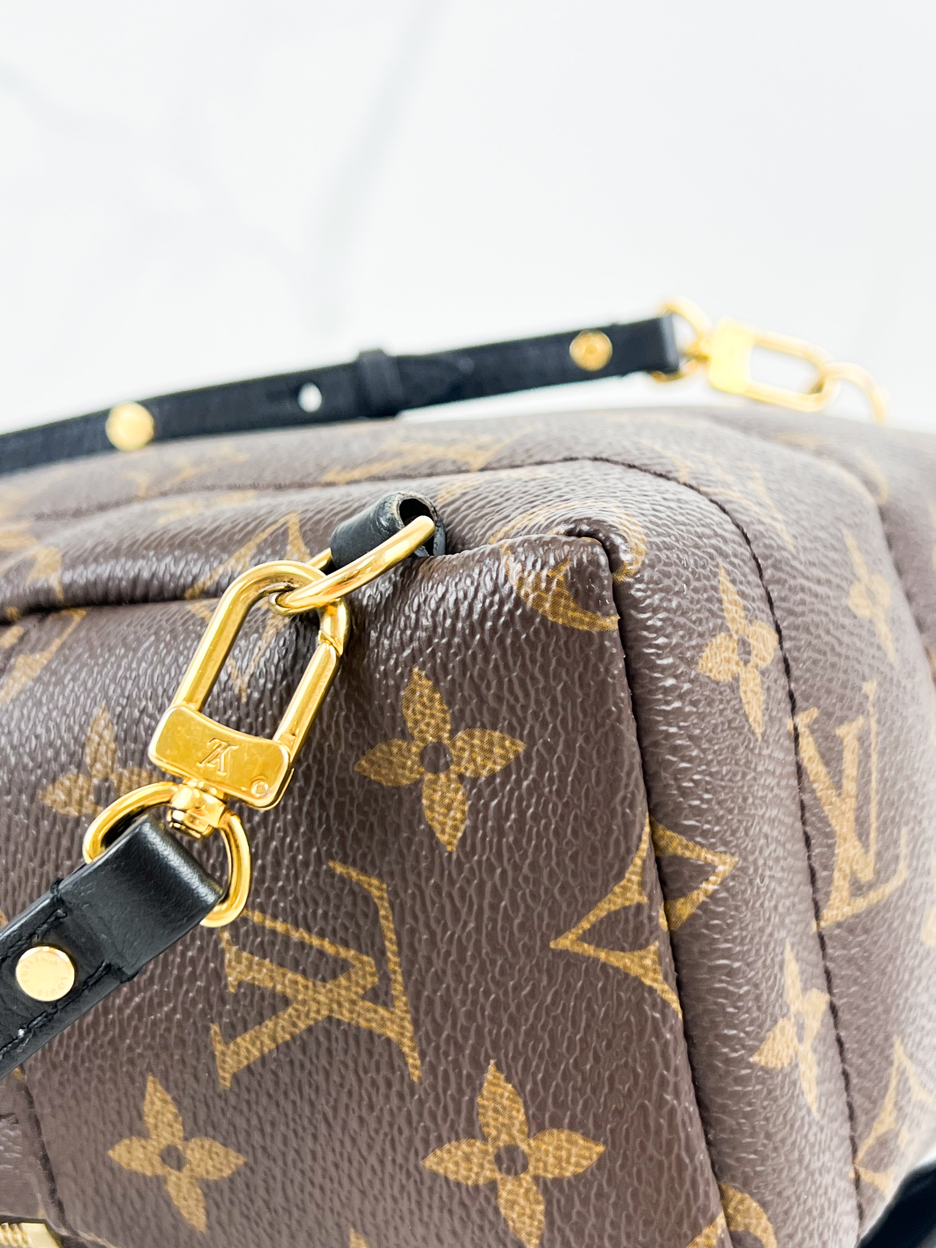 Louis Vuitton Palm Springs Mini
