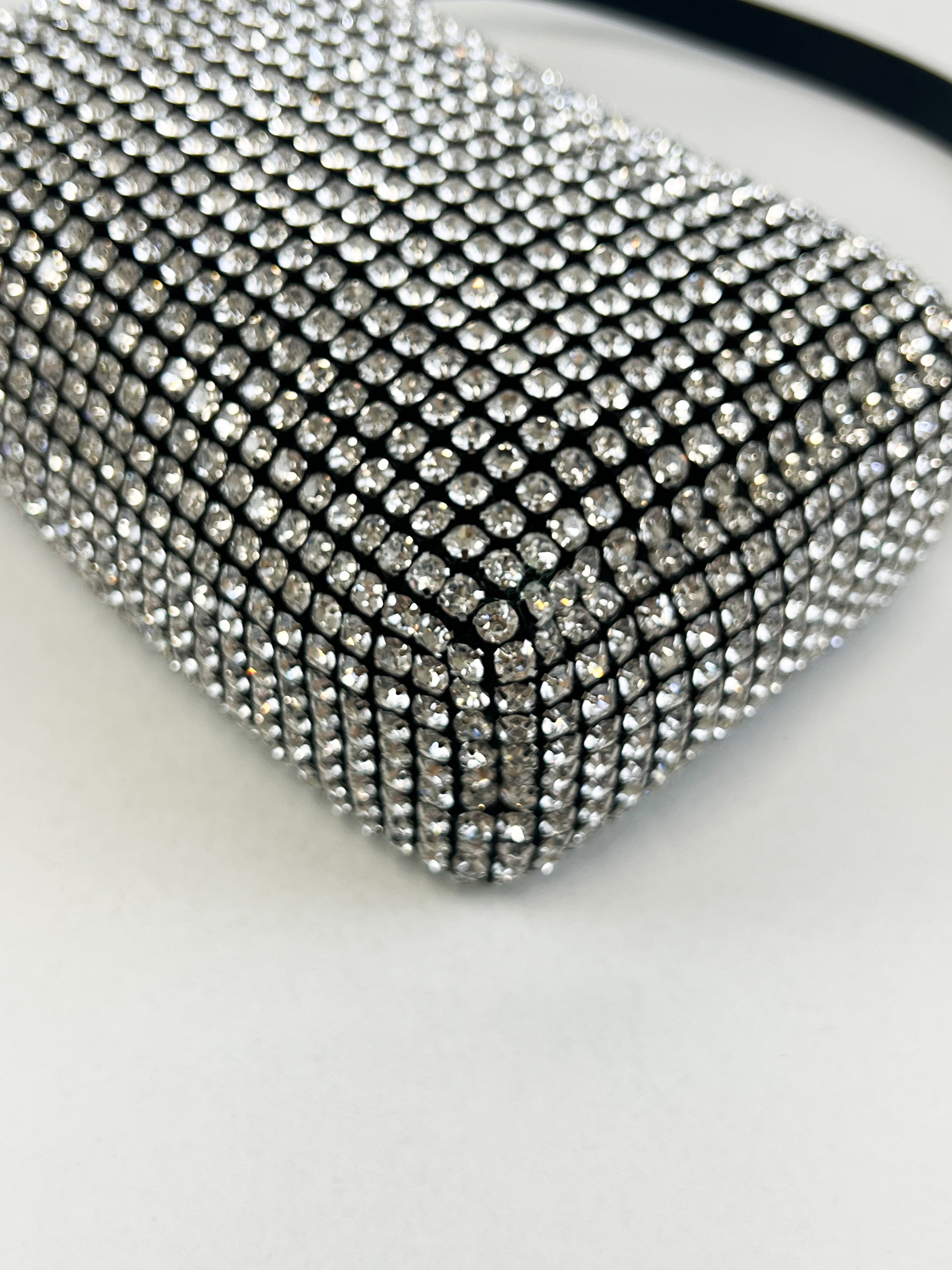 Alexander Wang Heiress pouch