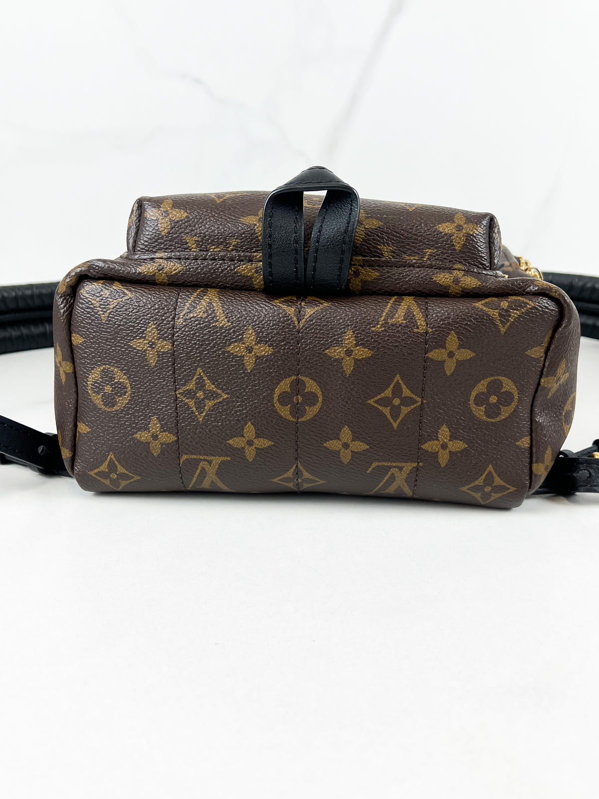 Louis Vuitton Palm Springs PM Monogram