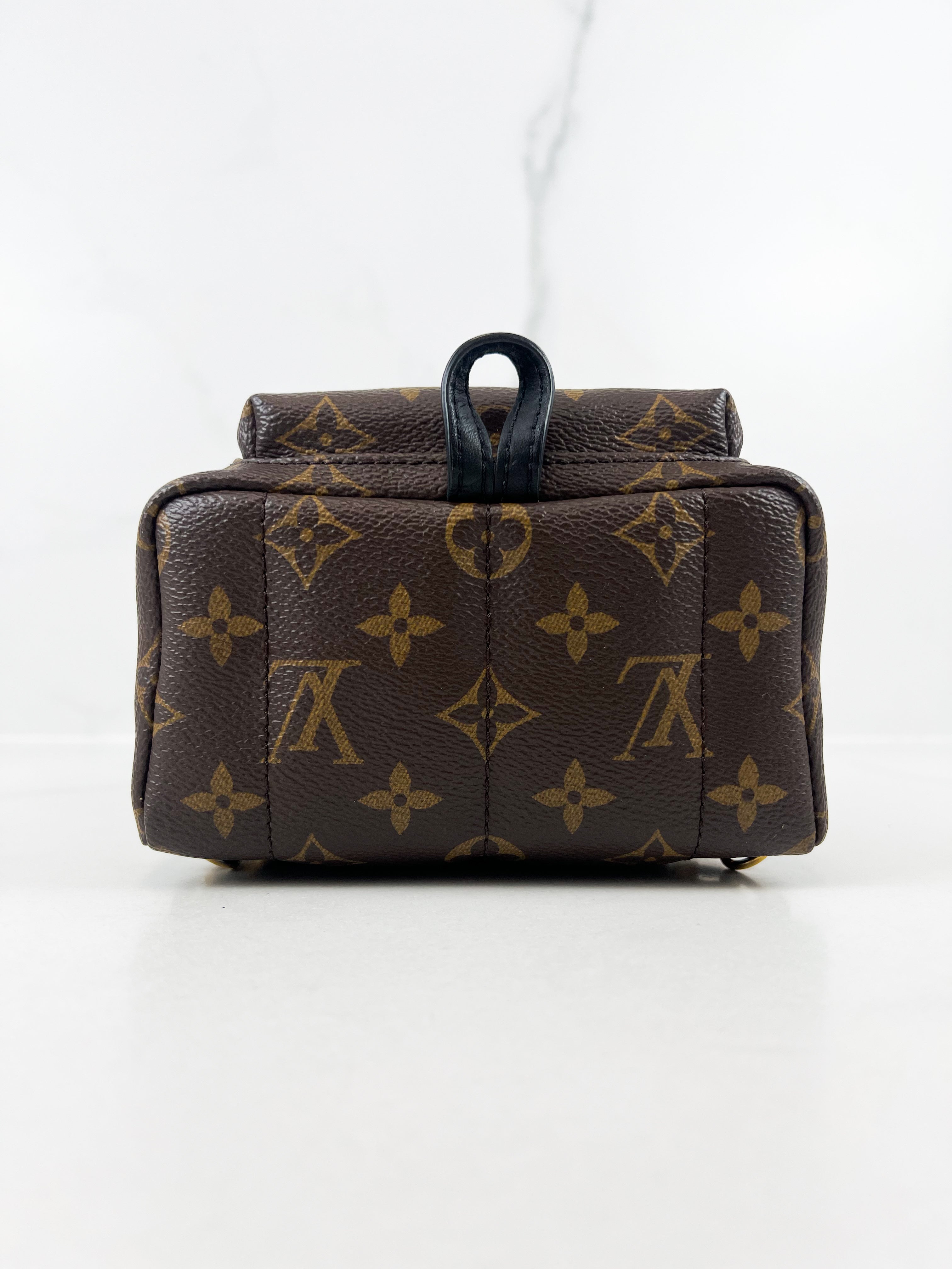 Louis Vuitton Palm Springs Mini