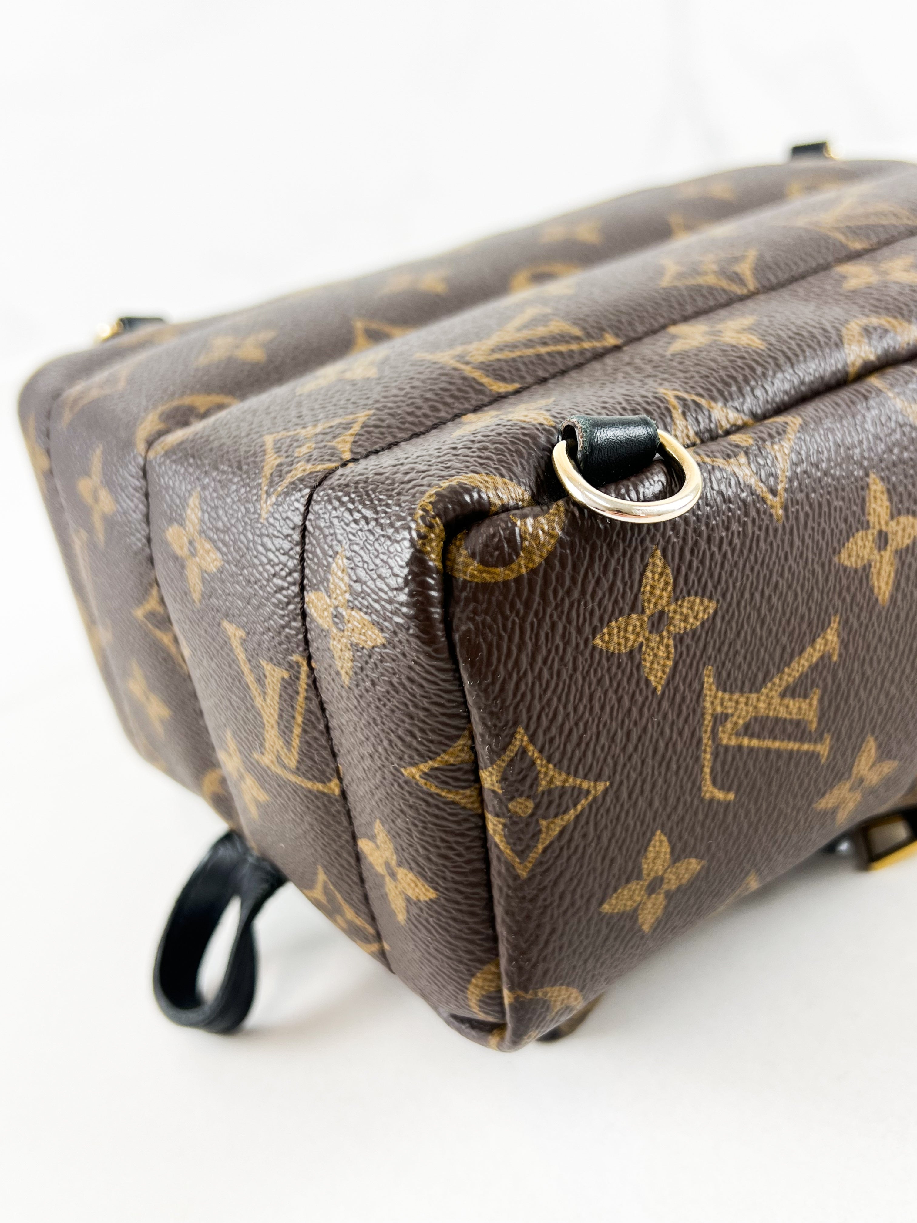 Louis Vuitton Palm Springs Mini