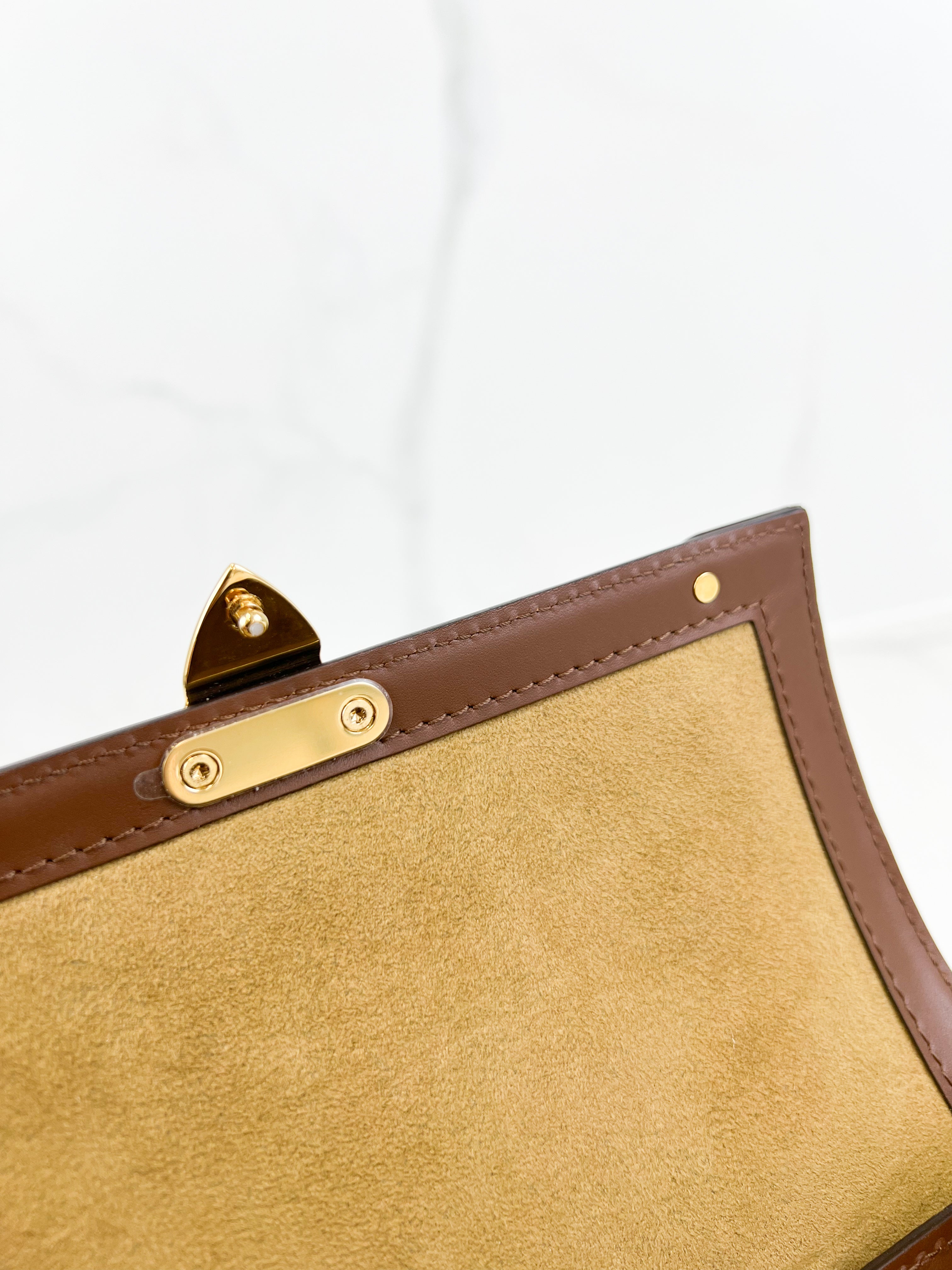 Louis Vuitton Papillon Trunk