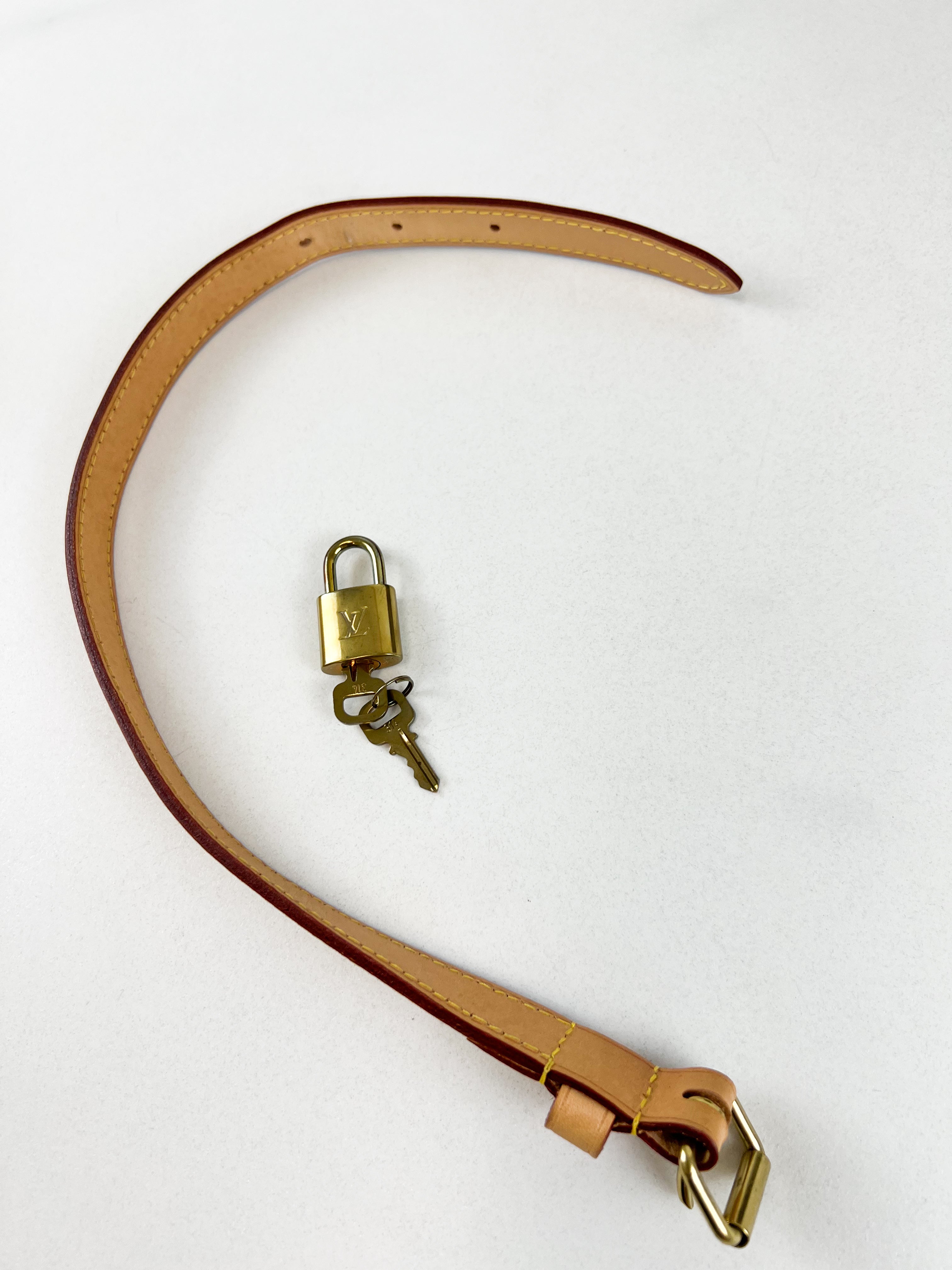 Louis Vuitton Speedy 25 Bandoulière Monogram Canvas